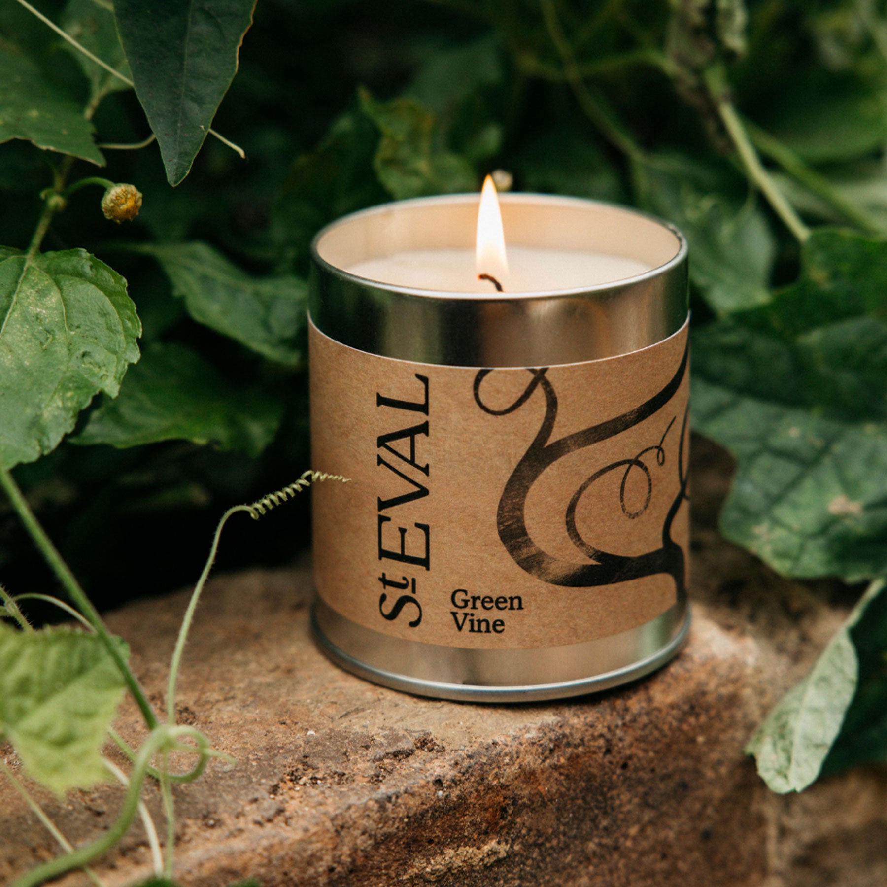Green vine scented tin candle