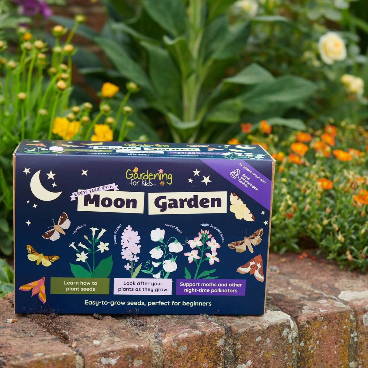 Grow your own moon garden