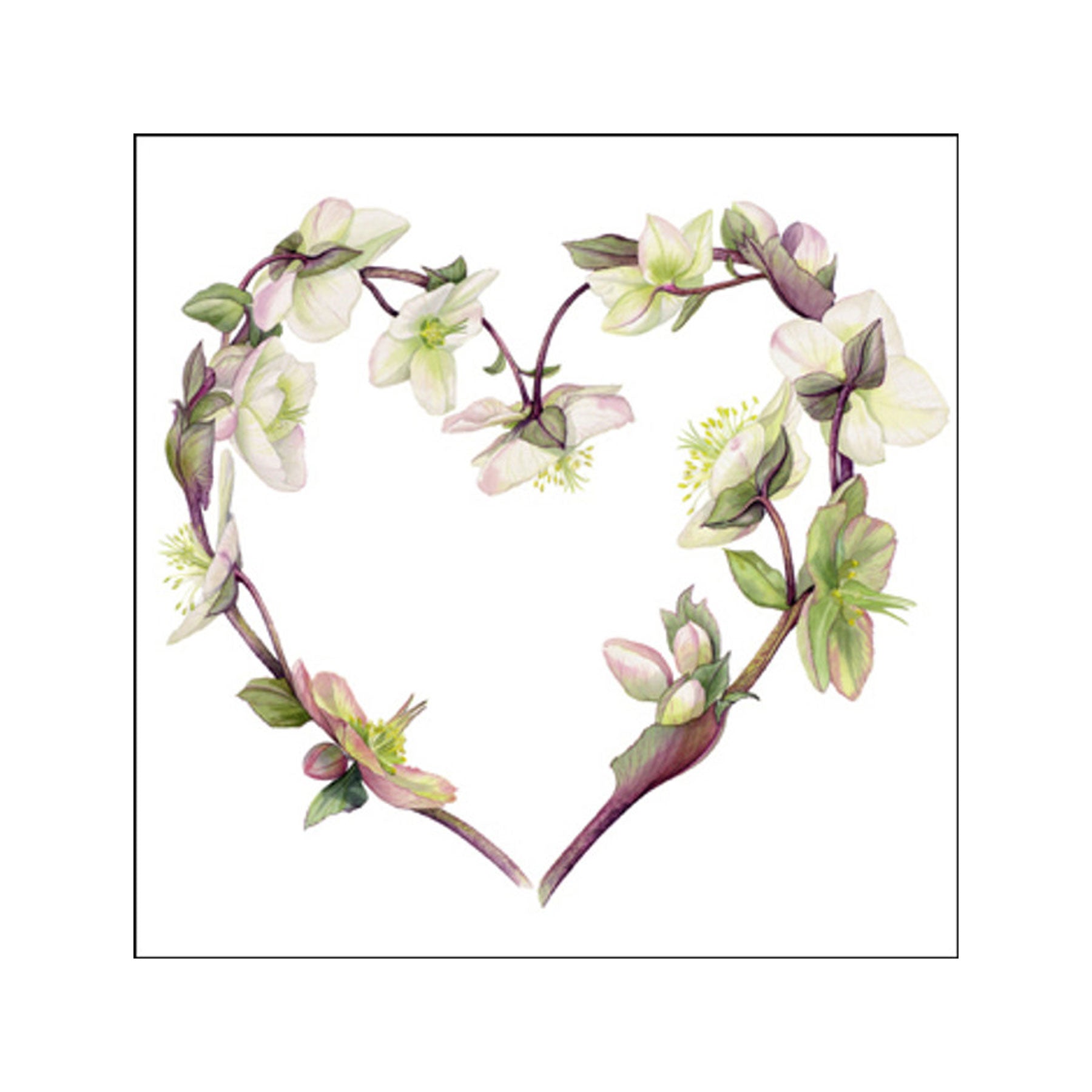 Hellebore heart greetings card