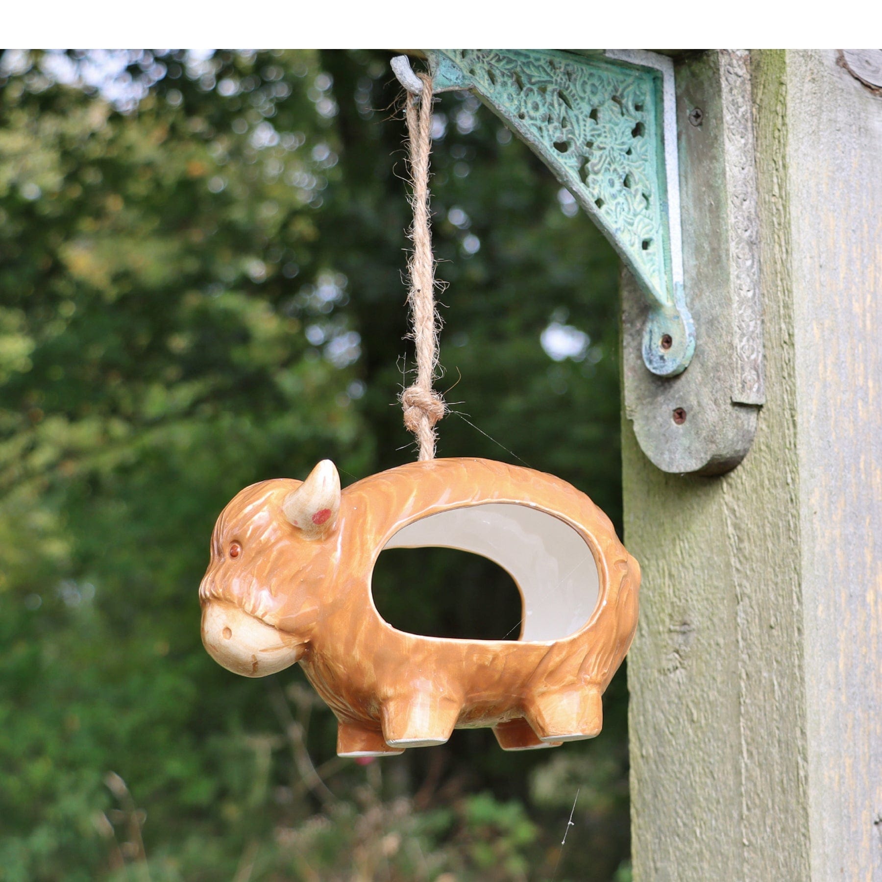 Hairie the highland cow bird feeder