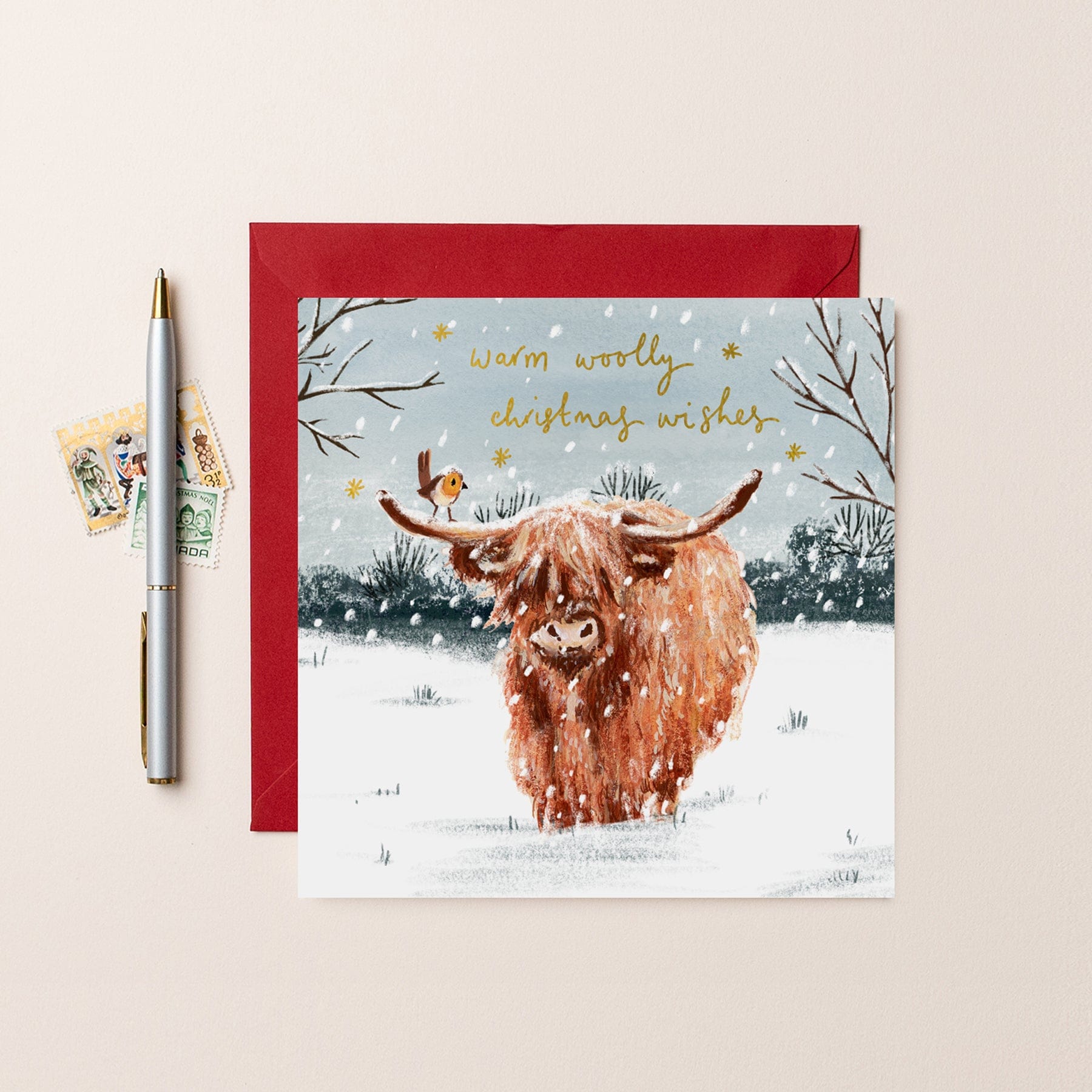 Warm woolly Christmas wishes Christmas card