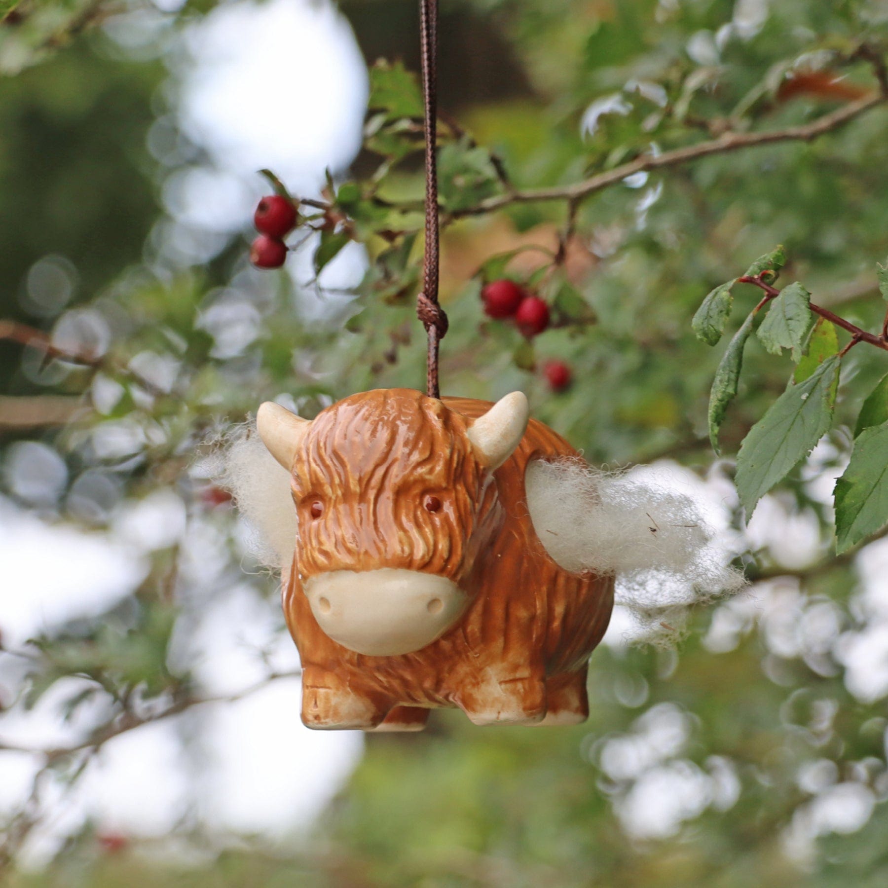 Hairie the highland cow nesting wool