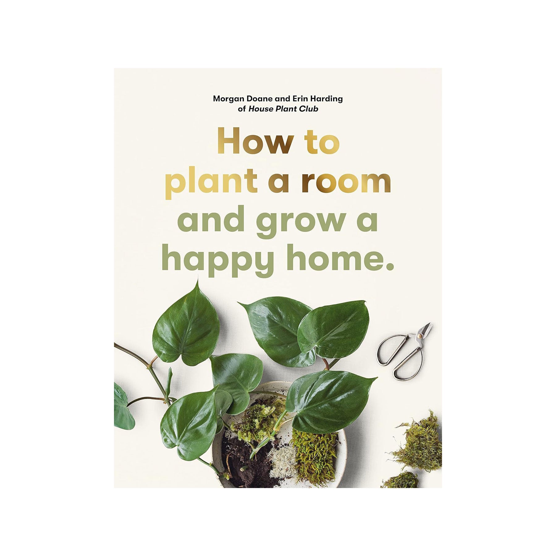 How to plant a room and grow a happy home