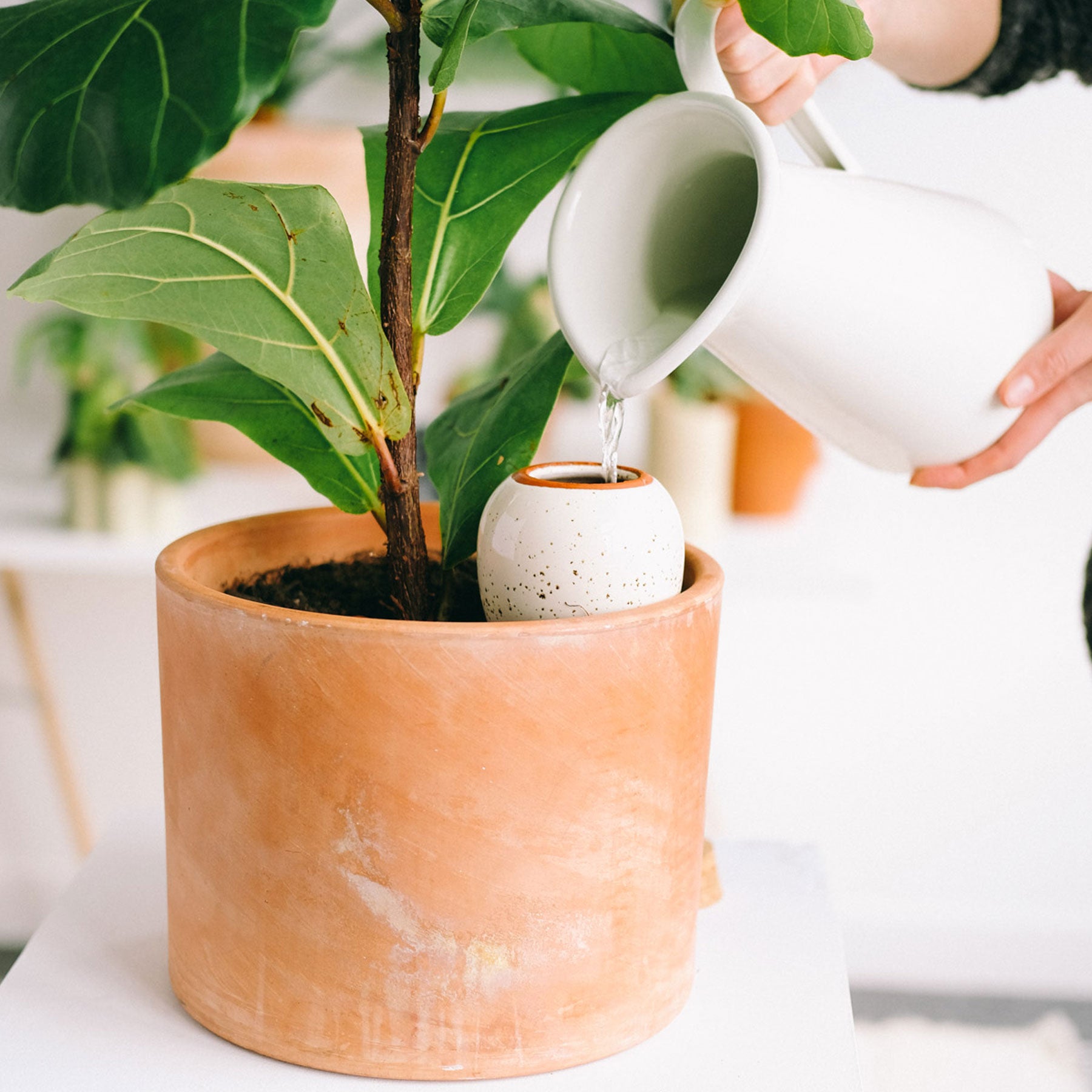 Hydrating olla speckled white