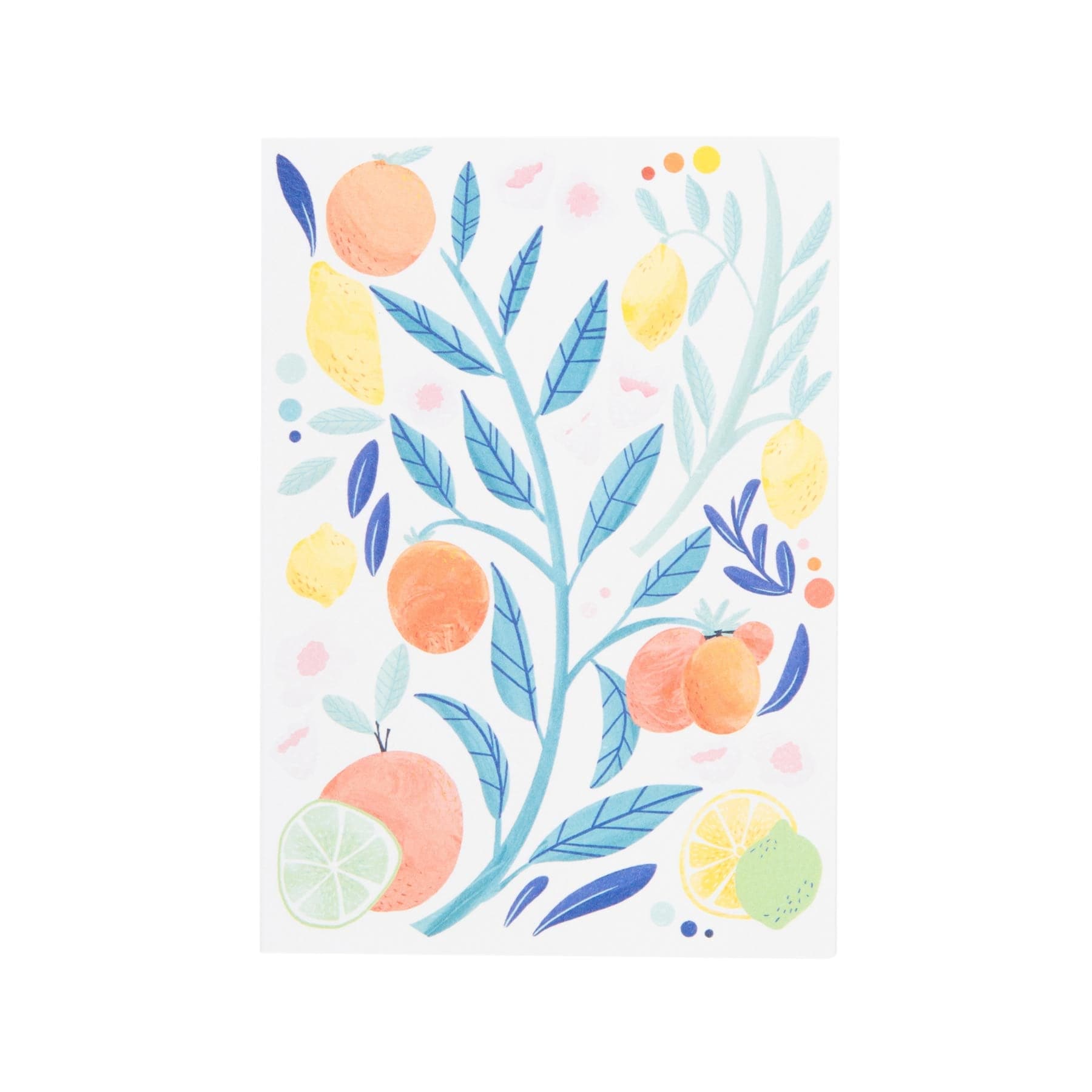 Citrus illustrated card