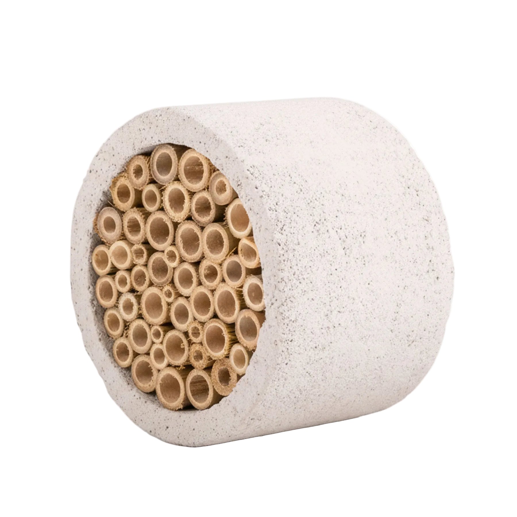 Isabela insect house