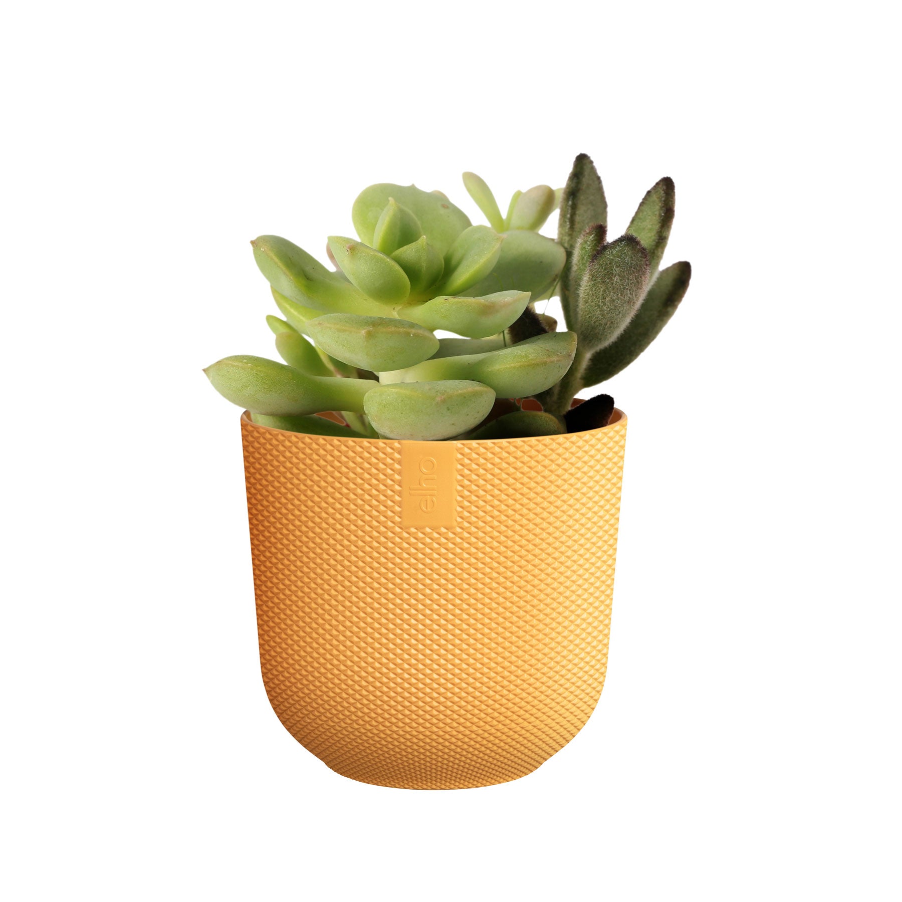 Jazz round mini plant pot