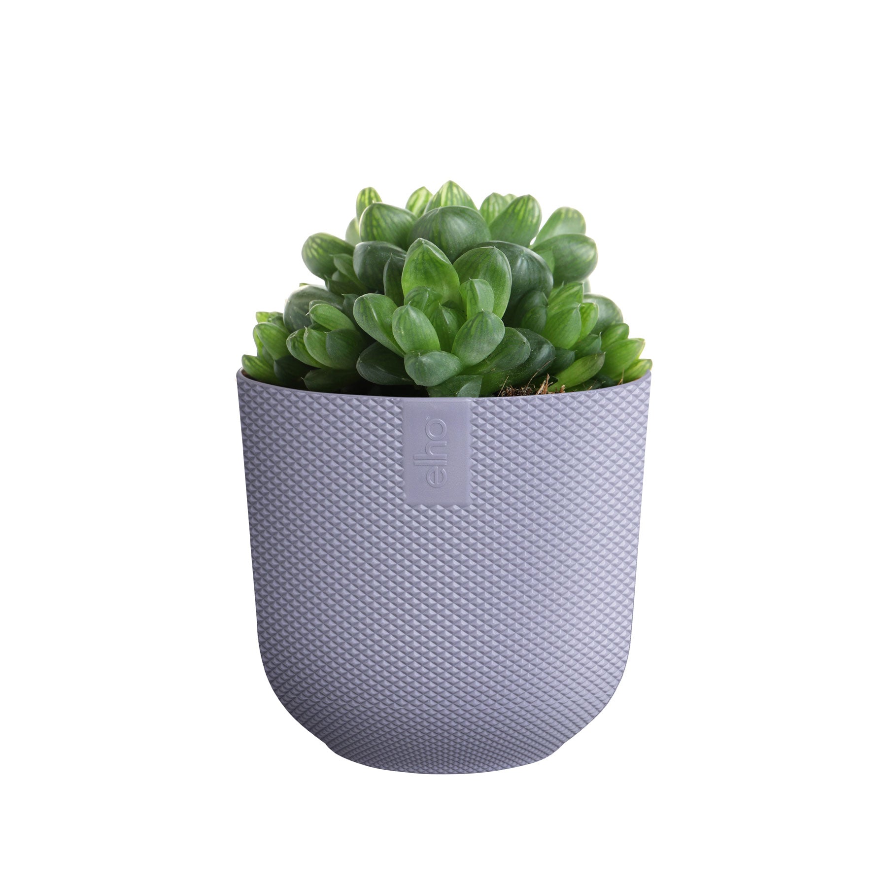Jazz round mini plant pot