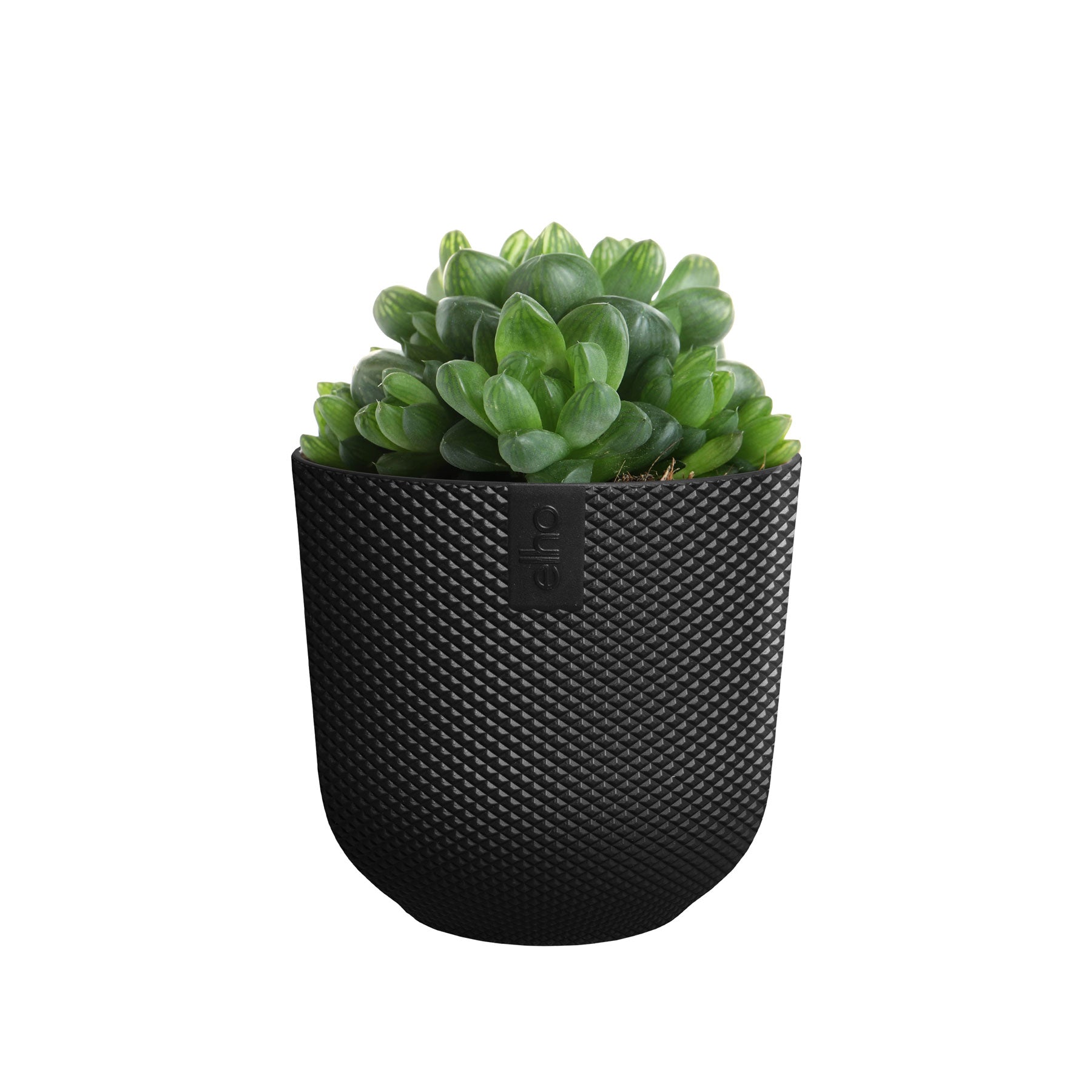 Jazz round mini plant pot