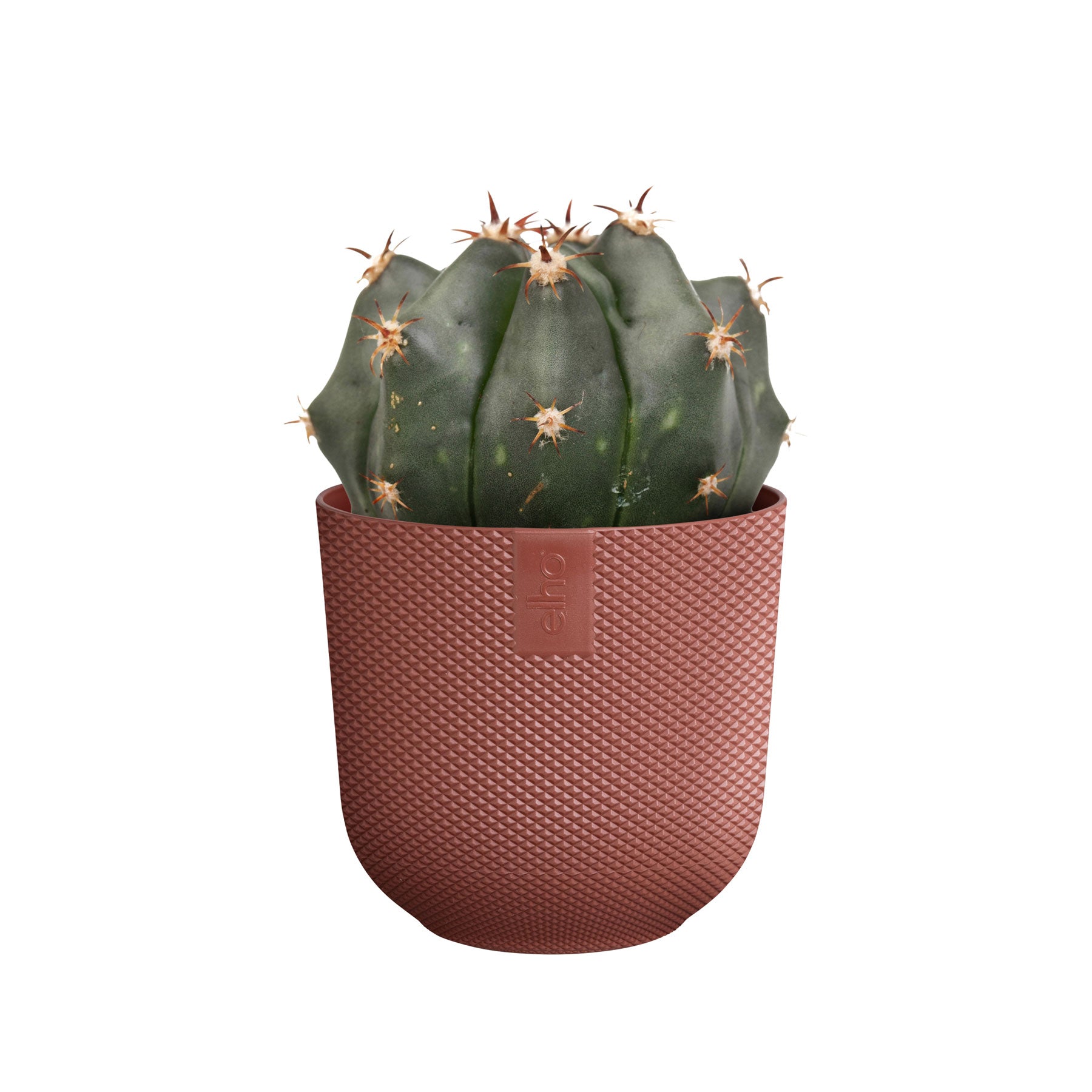 Jazz round mini plant pot
