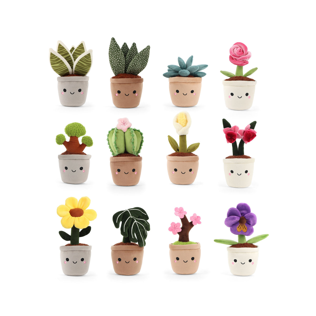 Keeleco botanical garden assorted 14cm
