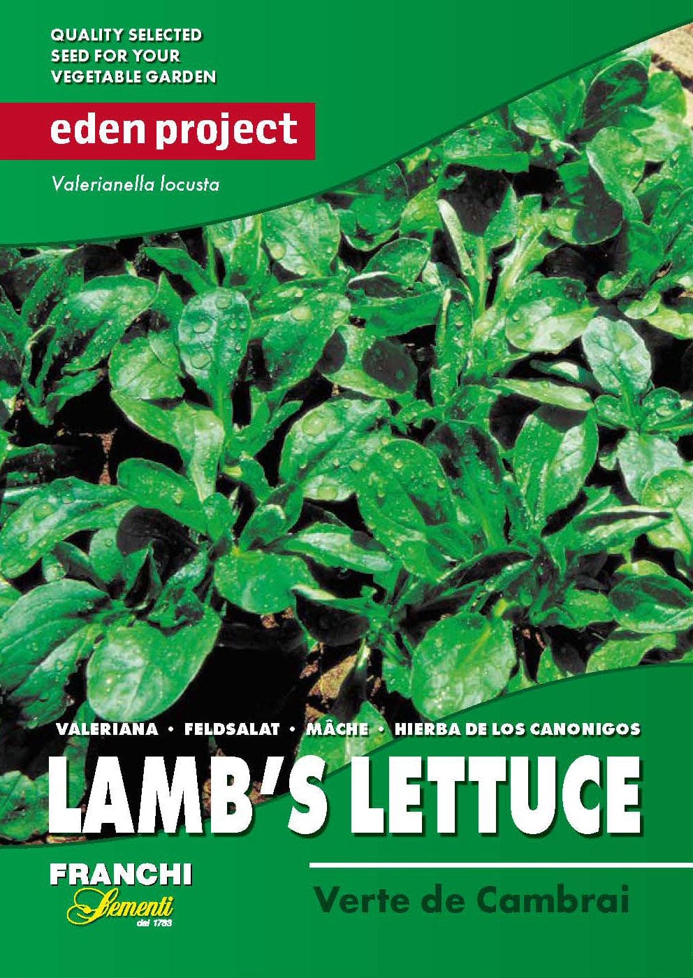 Eden lamb's lettuce cambrai seeds