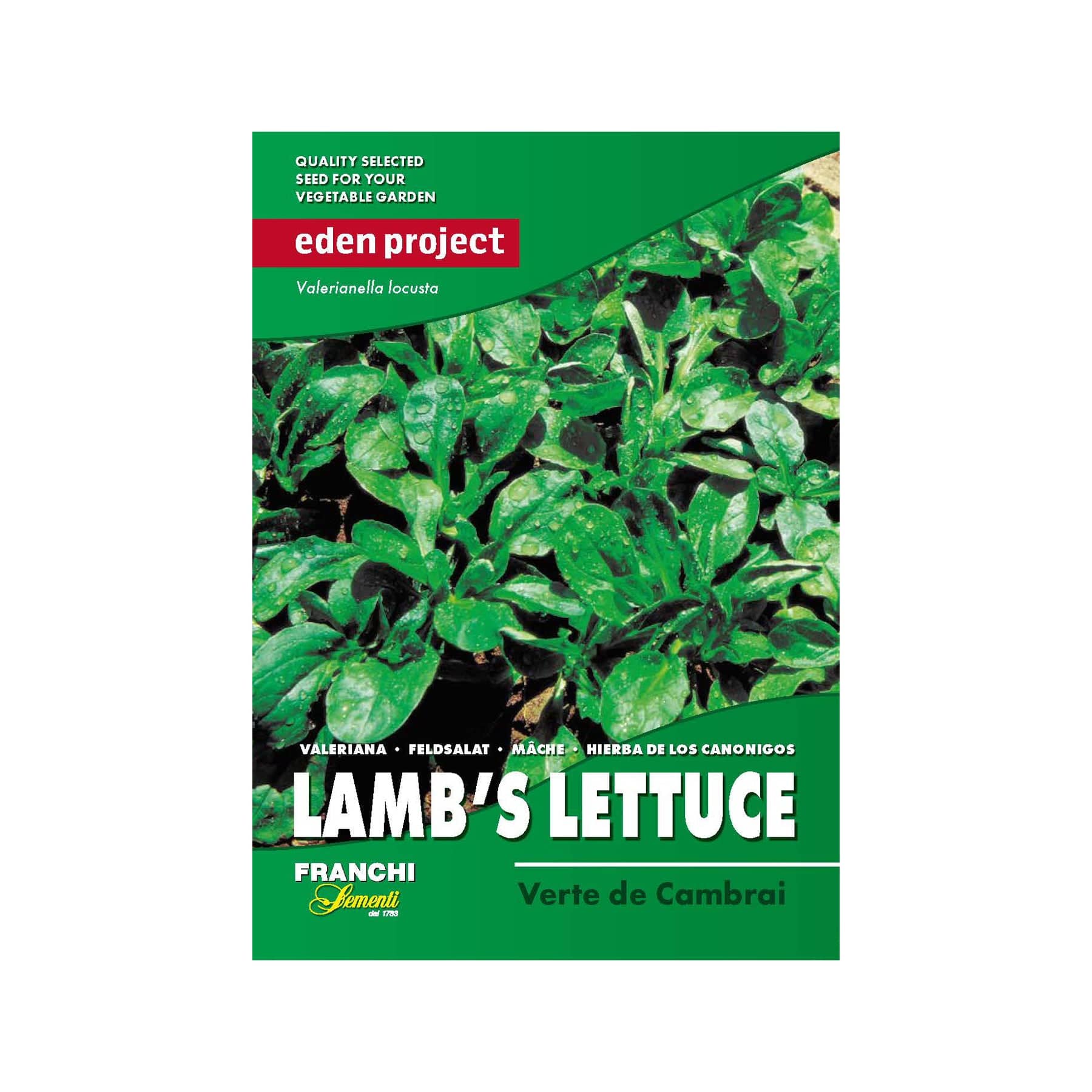 Lamb's lettuce cambrai seeds