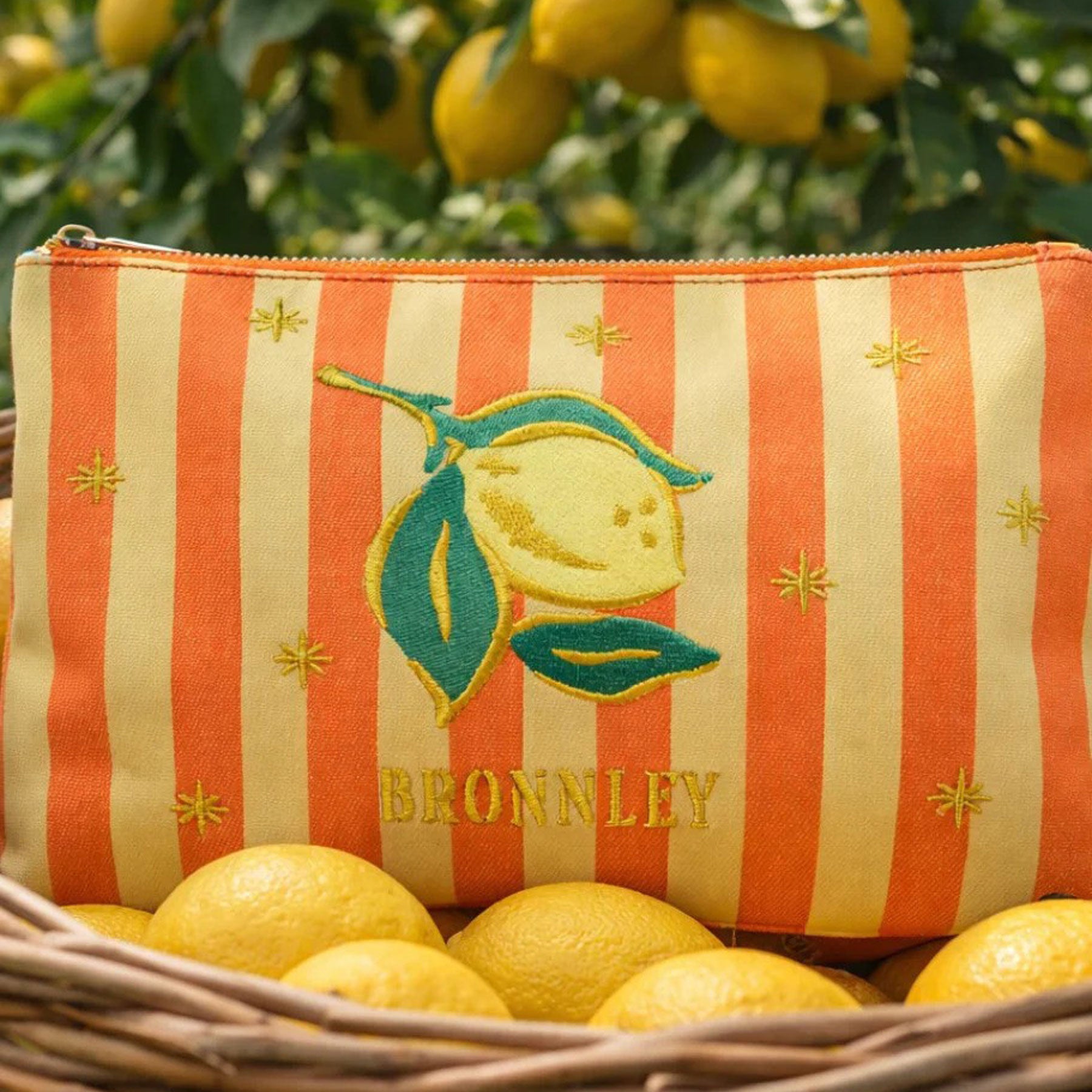 Lemon canvas zip purse