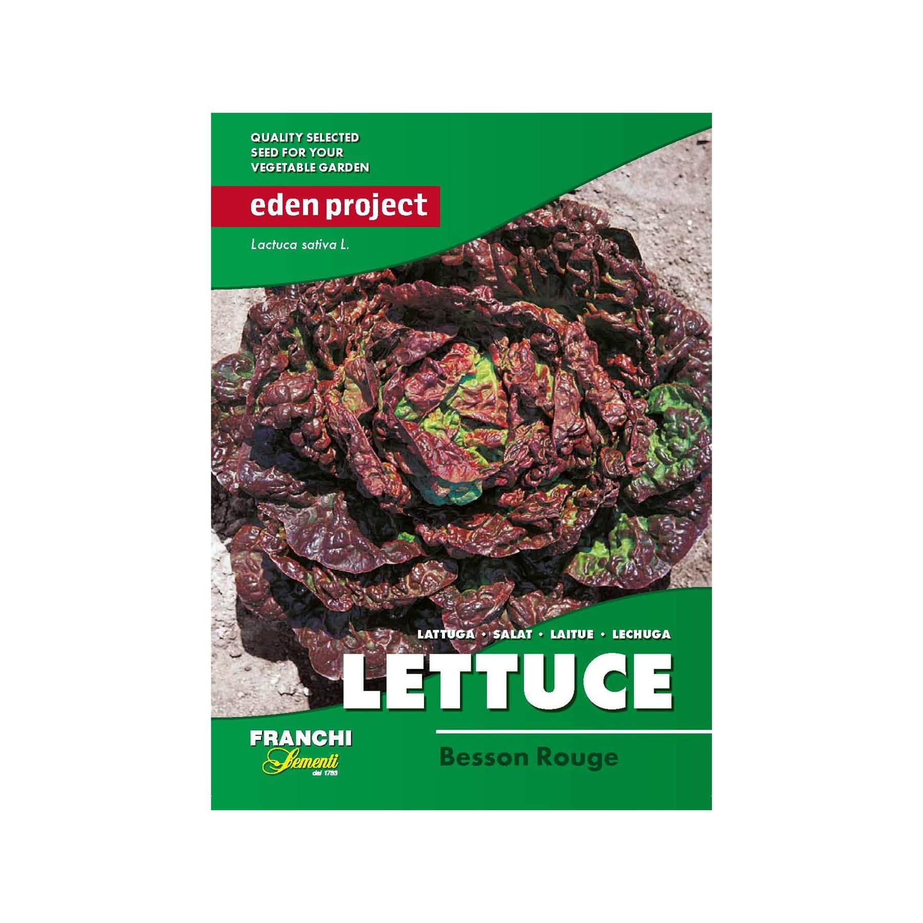 Lettuce besson rouge seeds