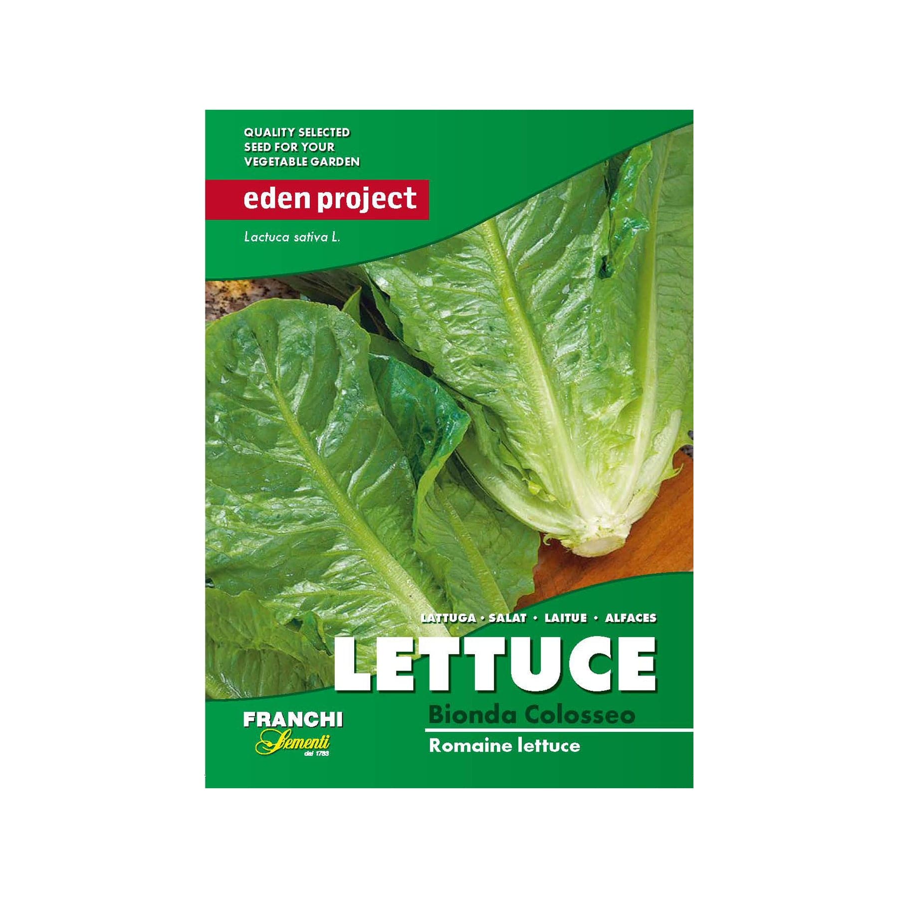 Romaine lettuce seeds