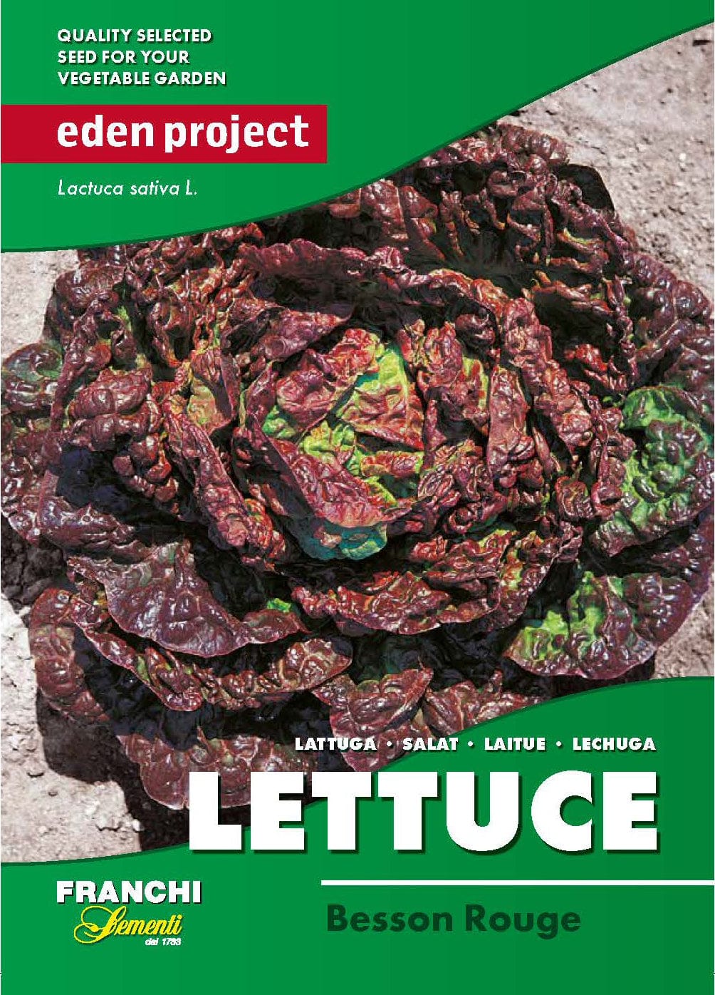 Eden lettuce besson rouge seeds