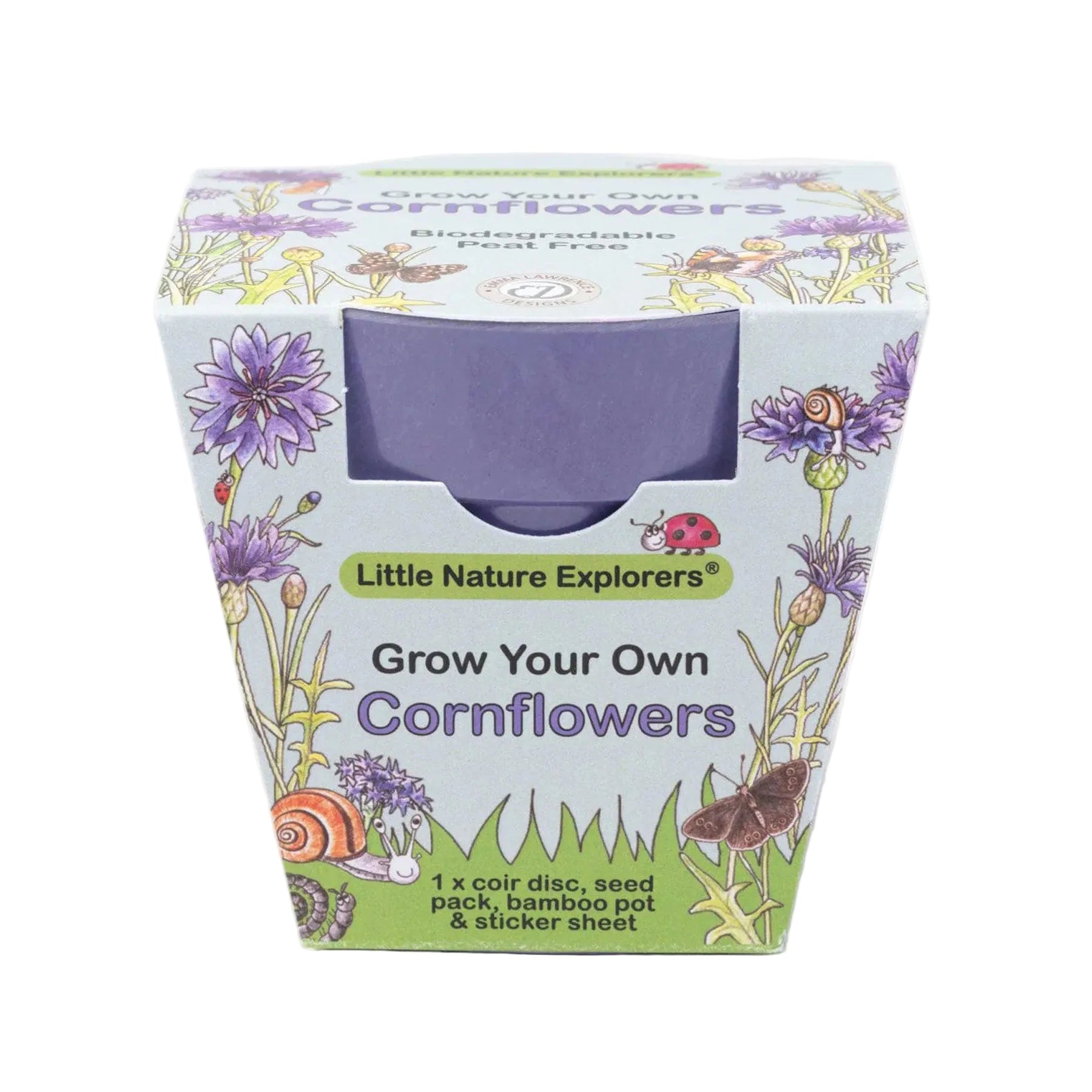 Little nature explorer cornflower growing kit
