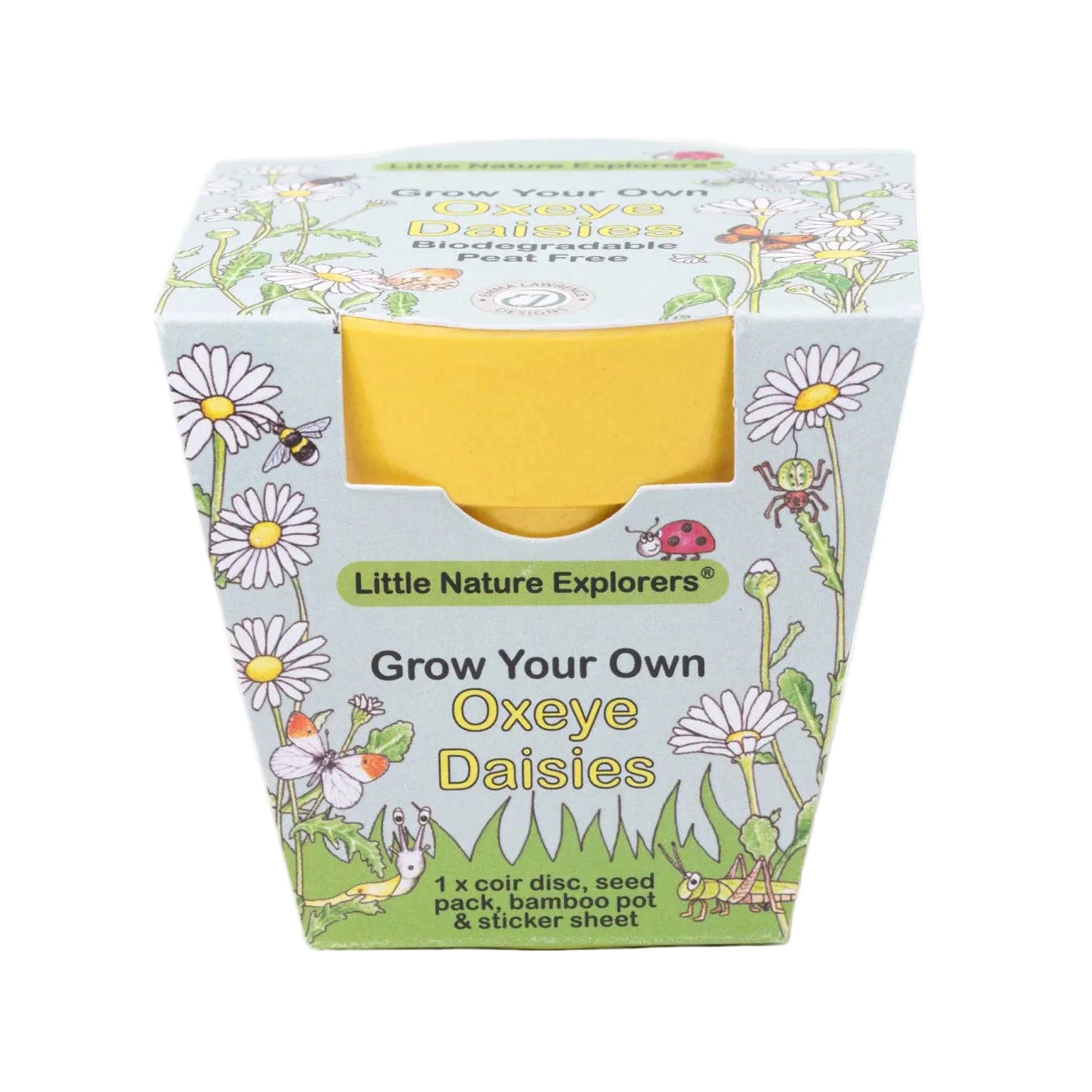 Little nature explorer ox-eye daisy growing kit