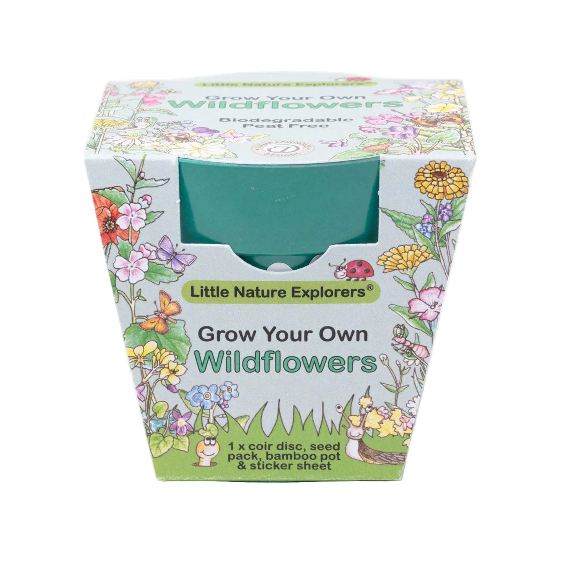Little nature explorer wildflowers growing kit