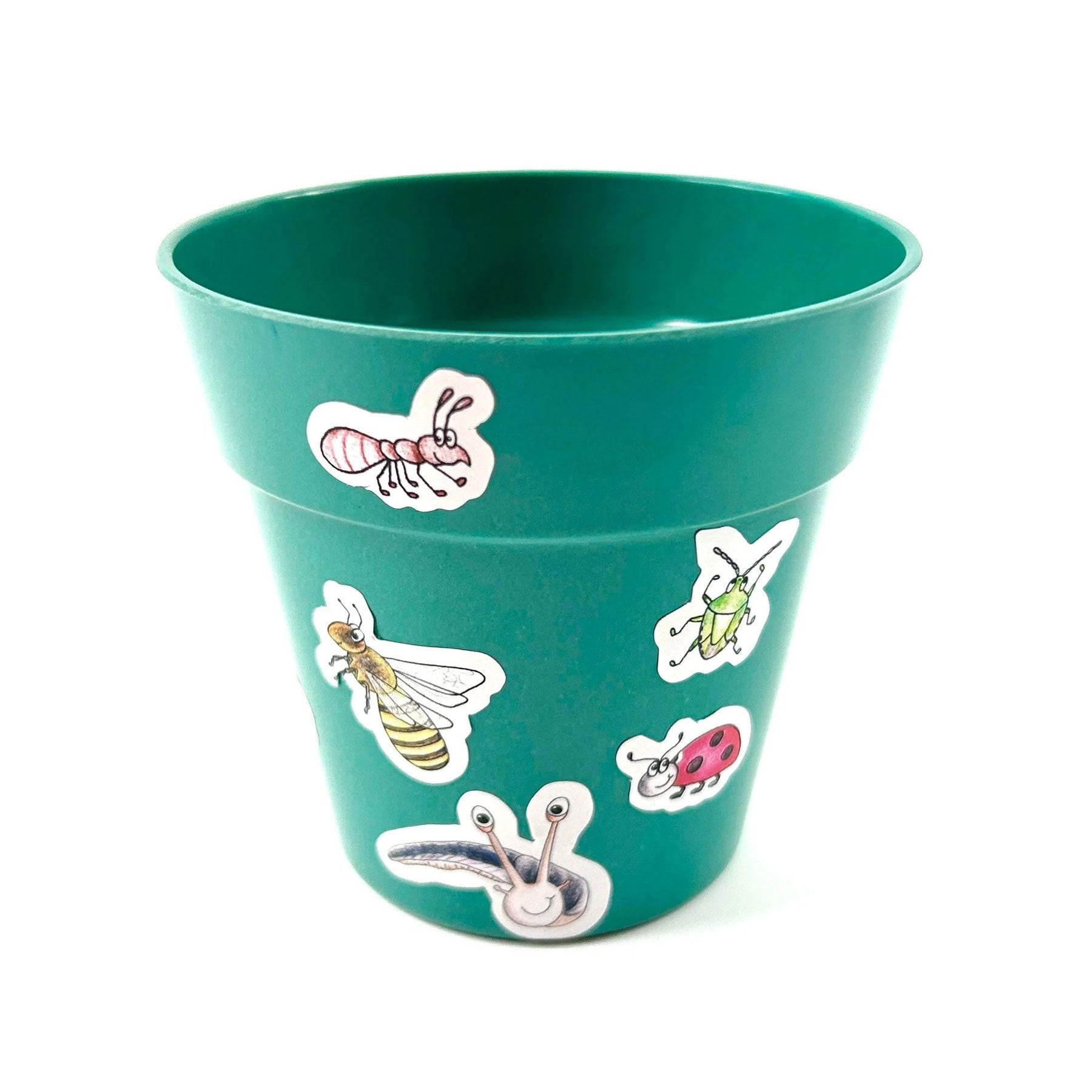 Little nature explorer wildflowers growing kit