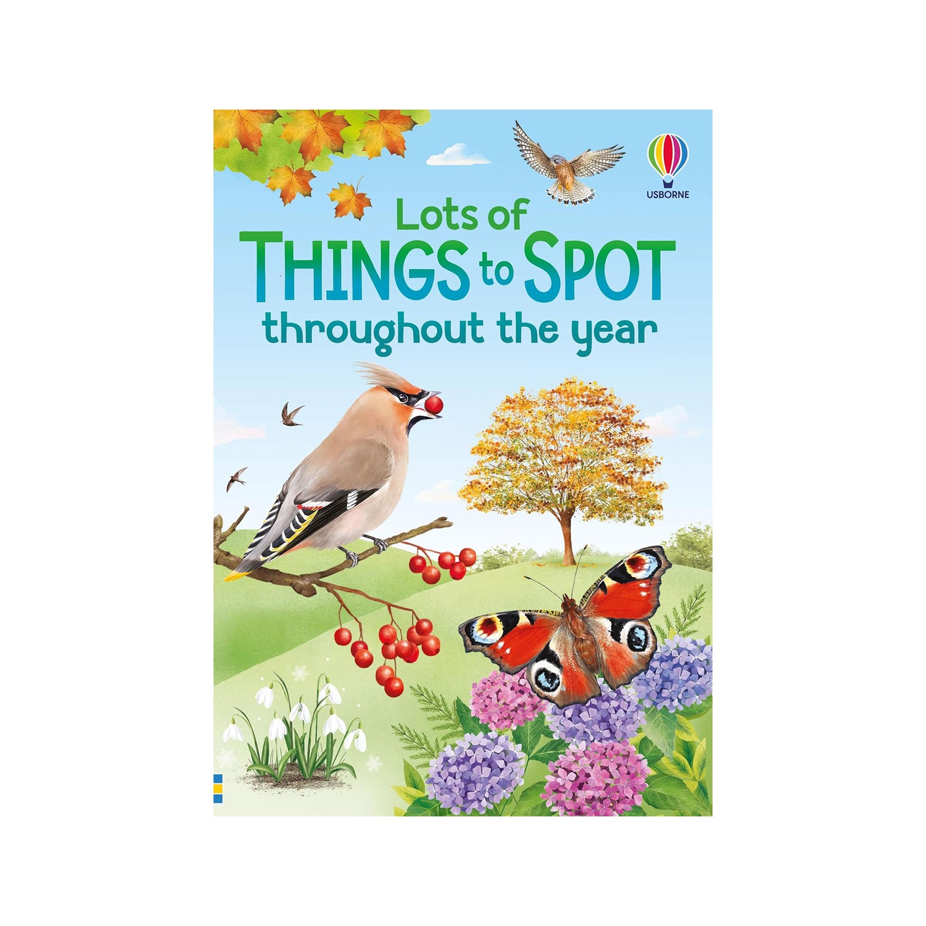 Lots of things to spot throughout the year