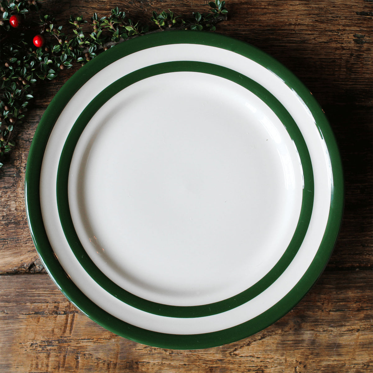 Main plate