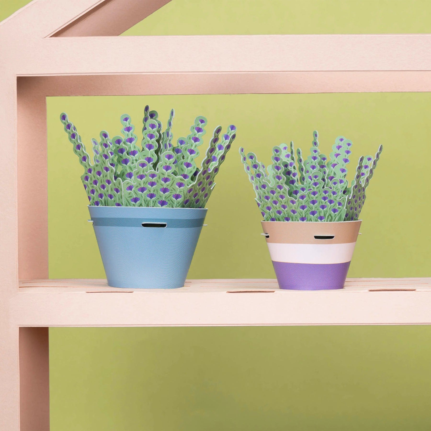 Make your own calming lavender paper plant kit