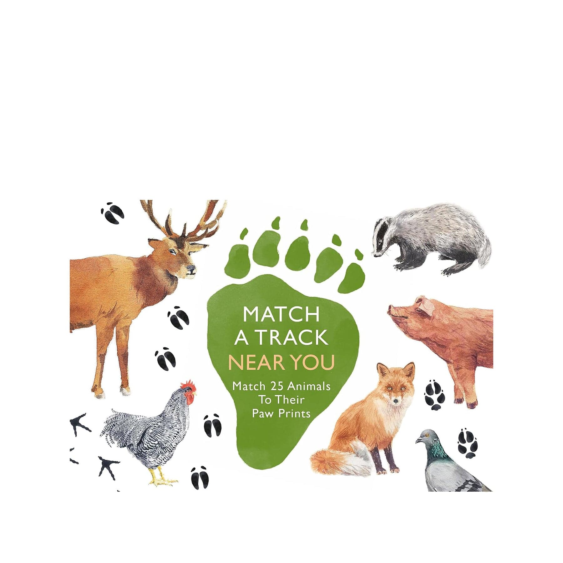 Match a track near you: match 25 animals to their paw prints