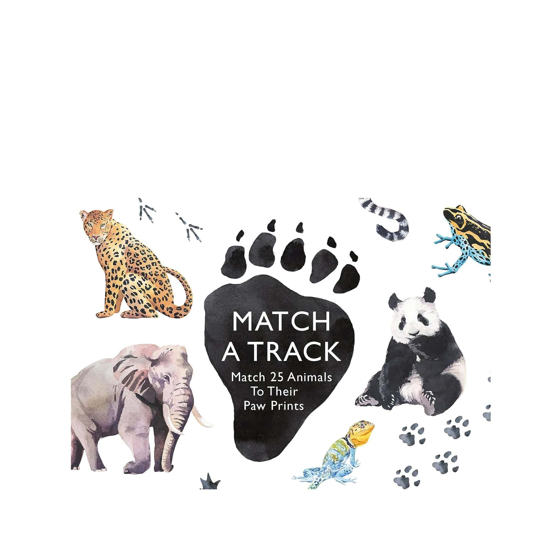 Match a track: match 25 animals to their paw prints