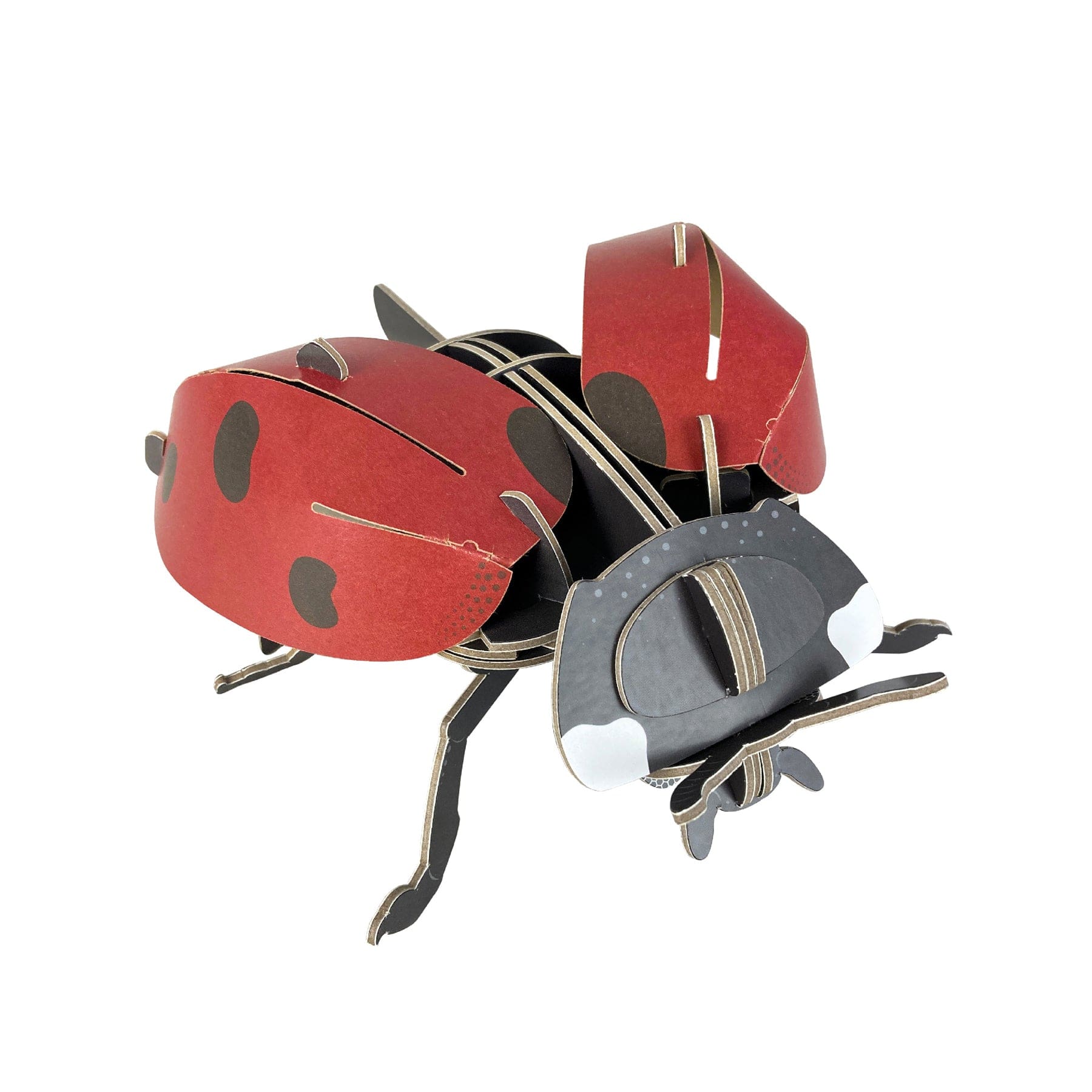 Mini-builds ladybird