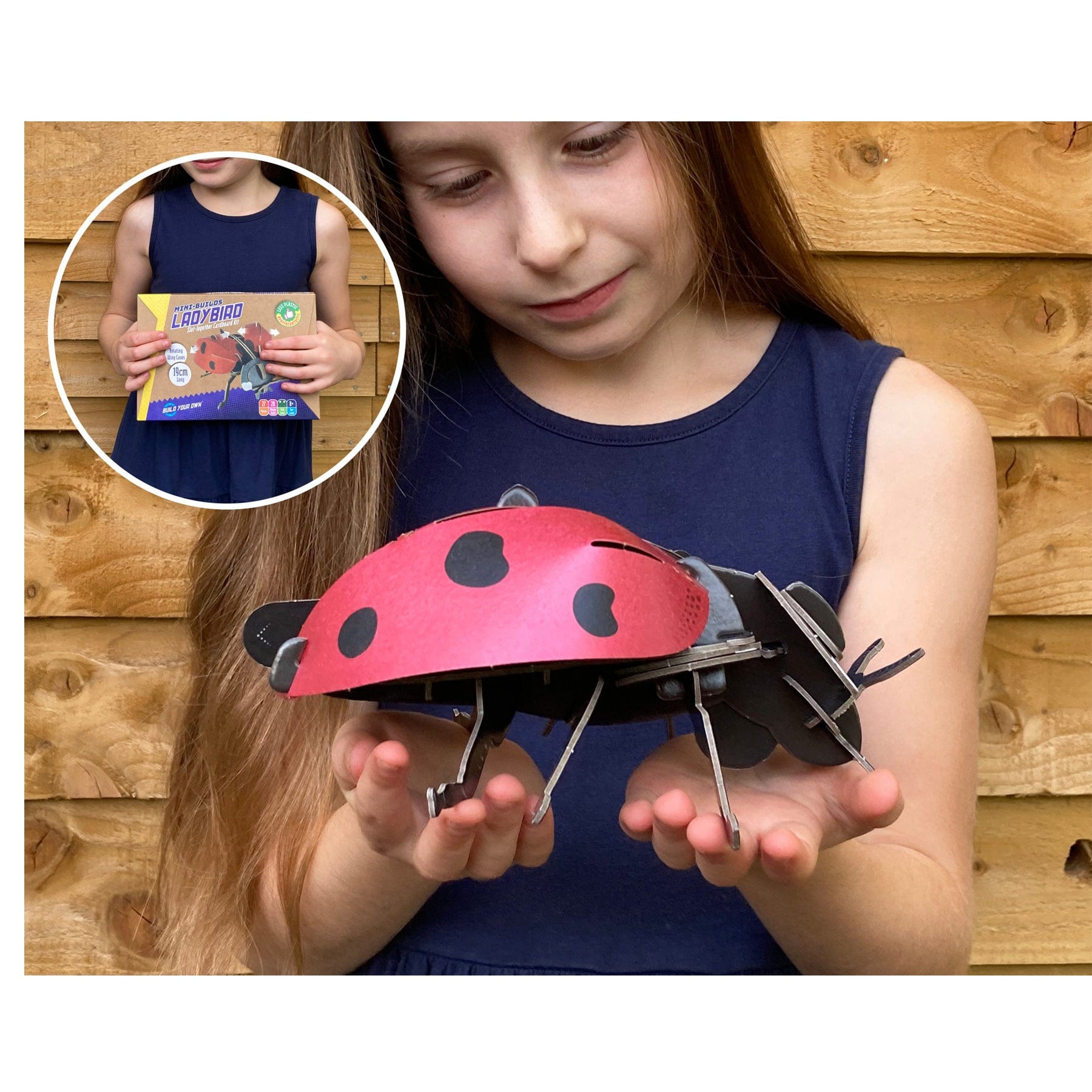 Mini-builds ladybird