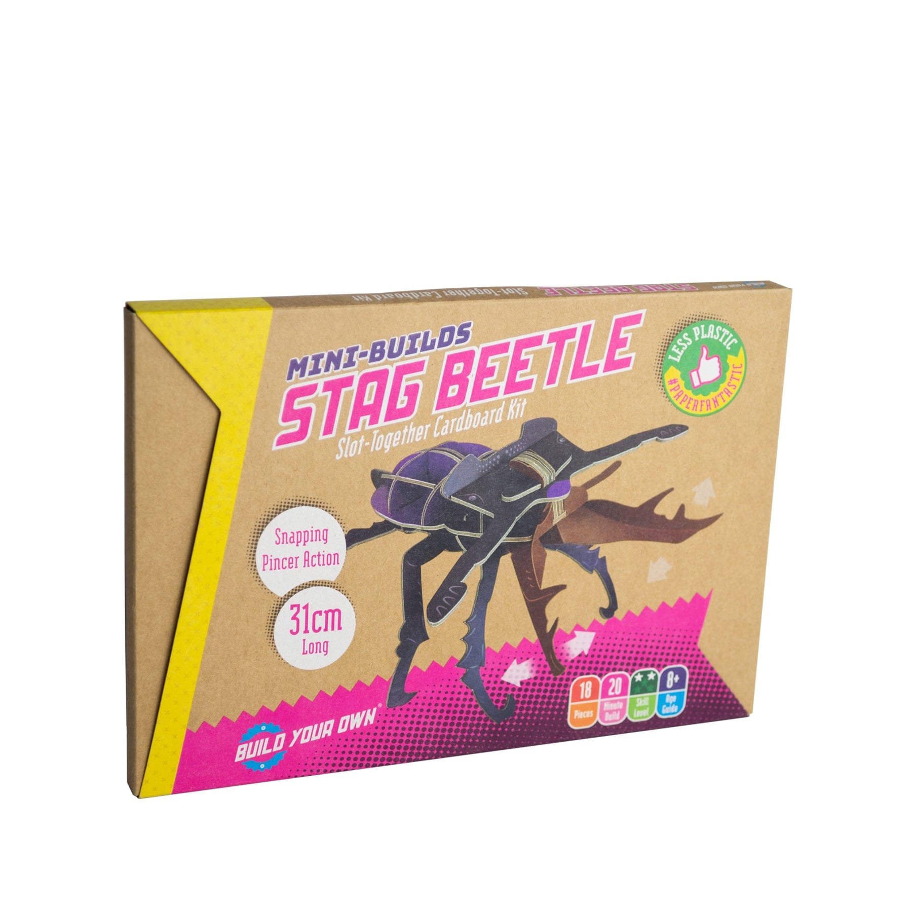 Mini-builds stag beetle