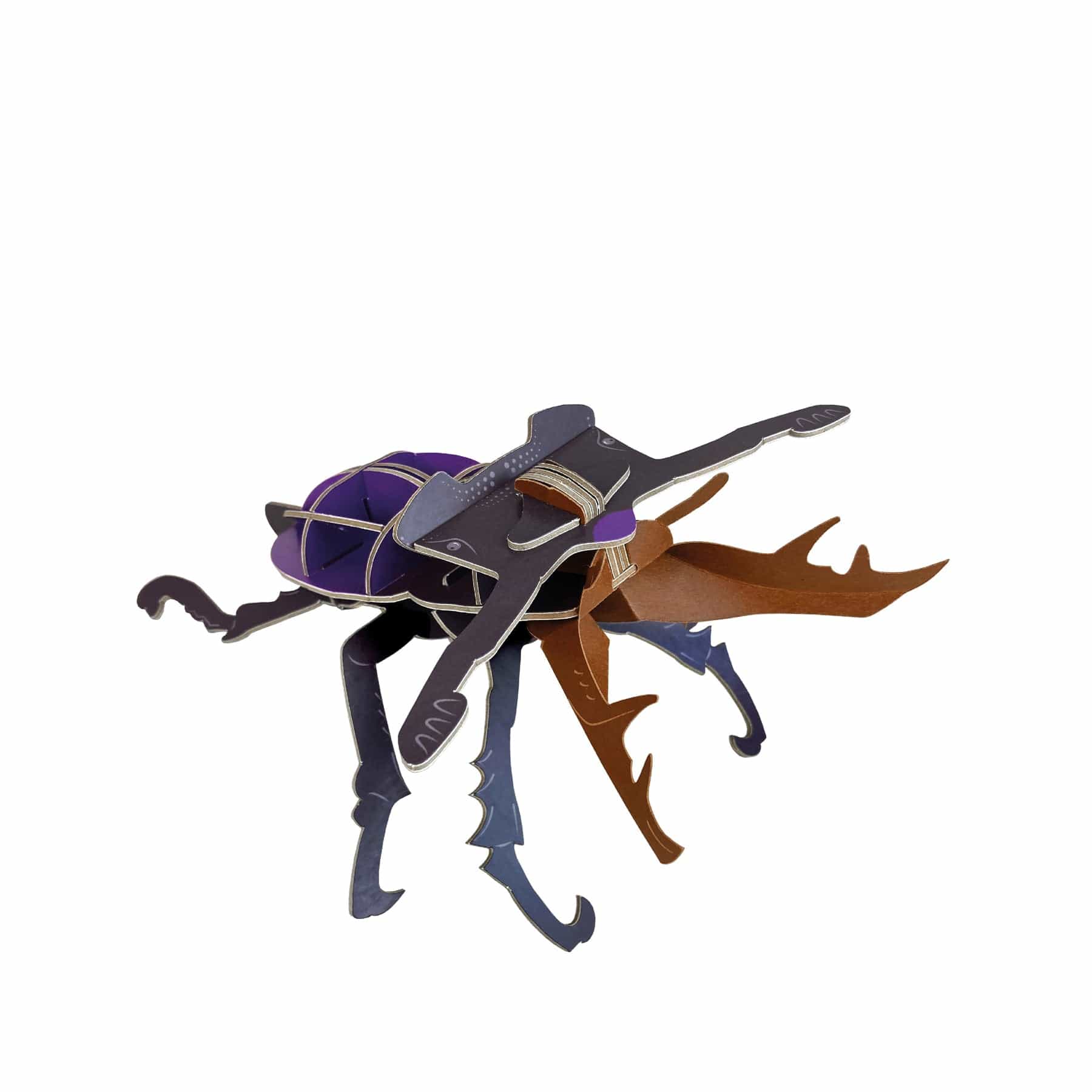 Mini-builds stag beetle