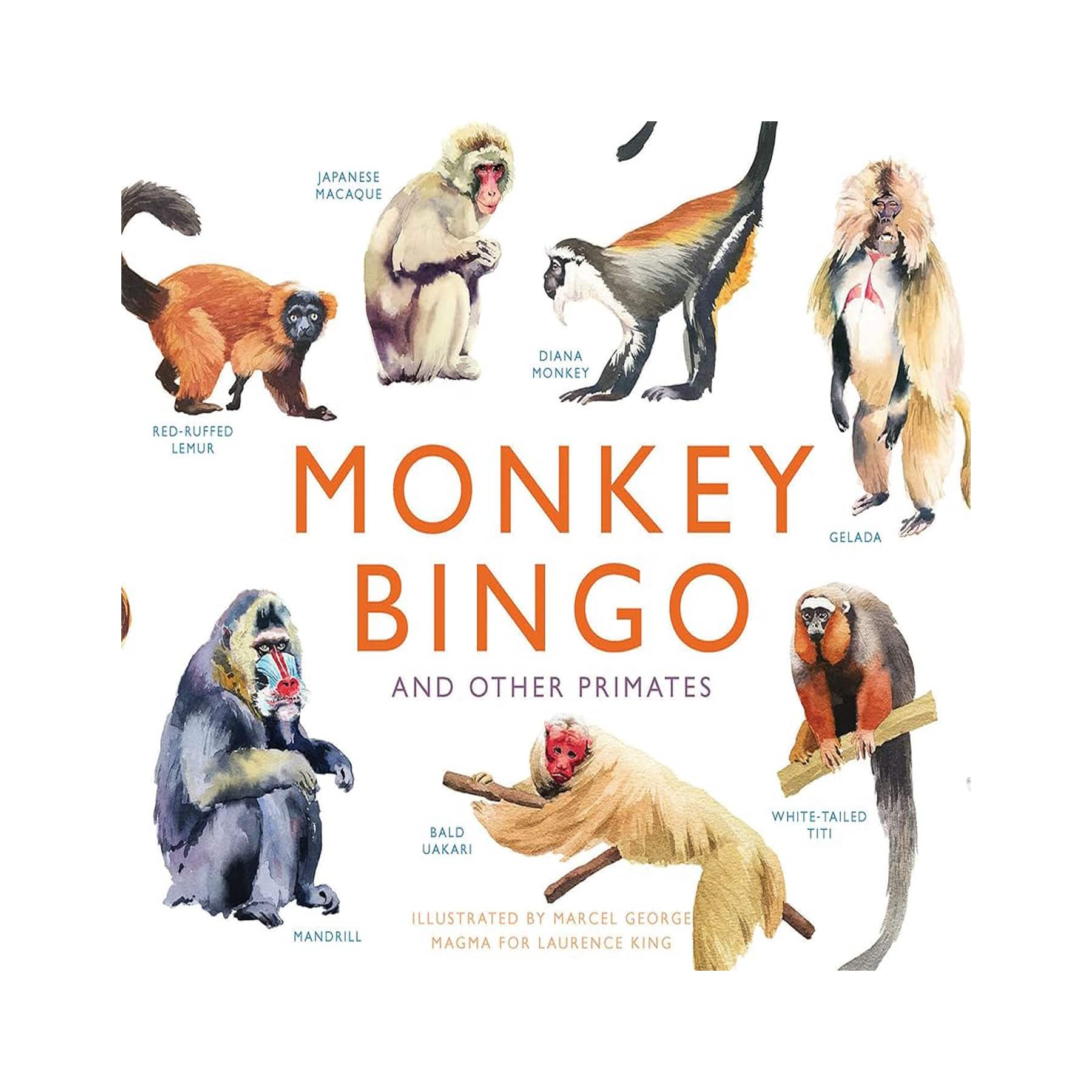 Monkey bingo