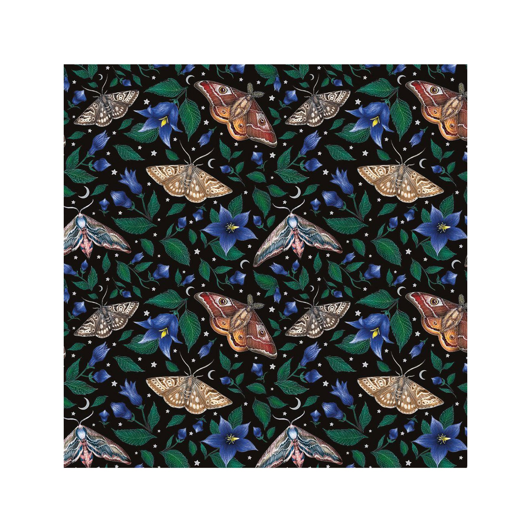 Moon moths greetings card
