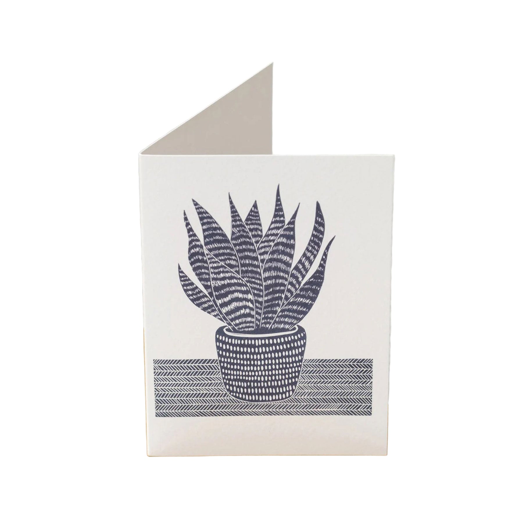 Mother in laws tongue greetings card