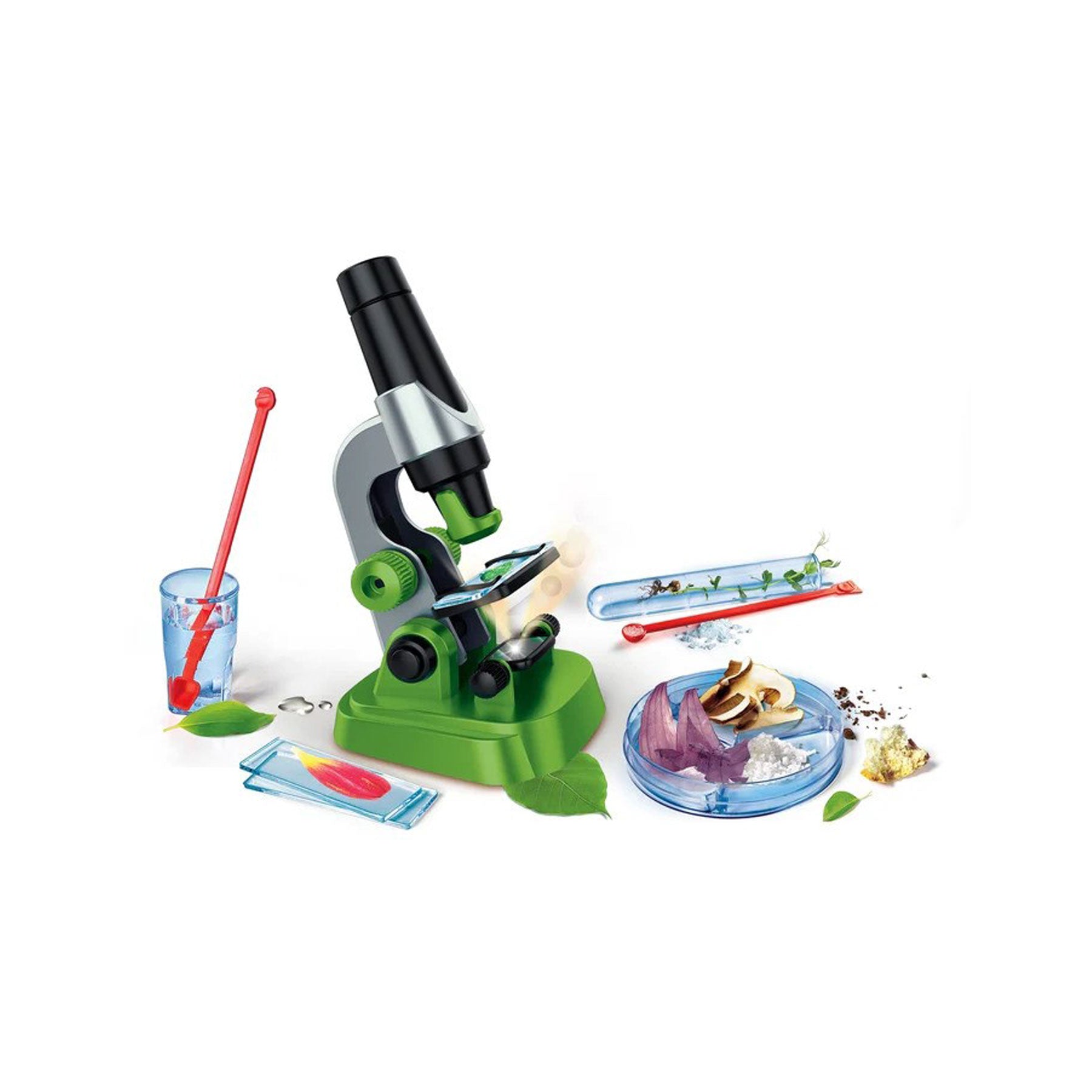 My first microscope