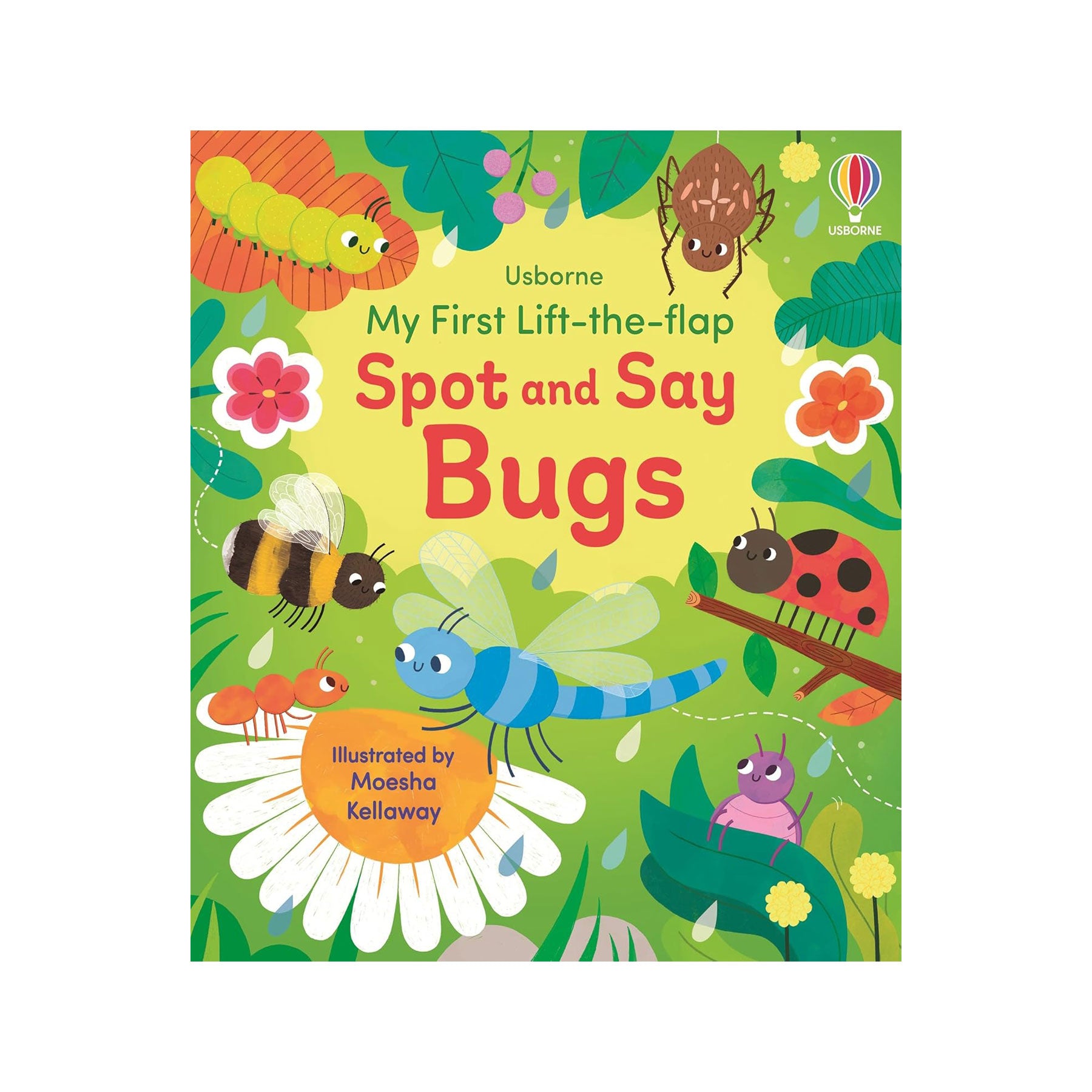My first lift-the-flap: spot and say bugs