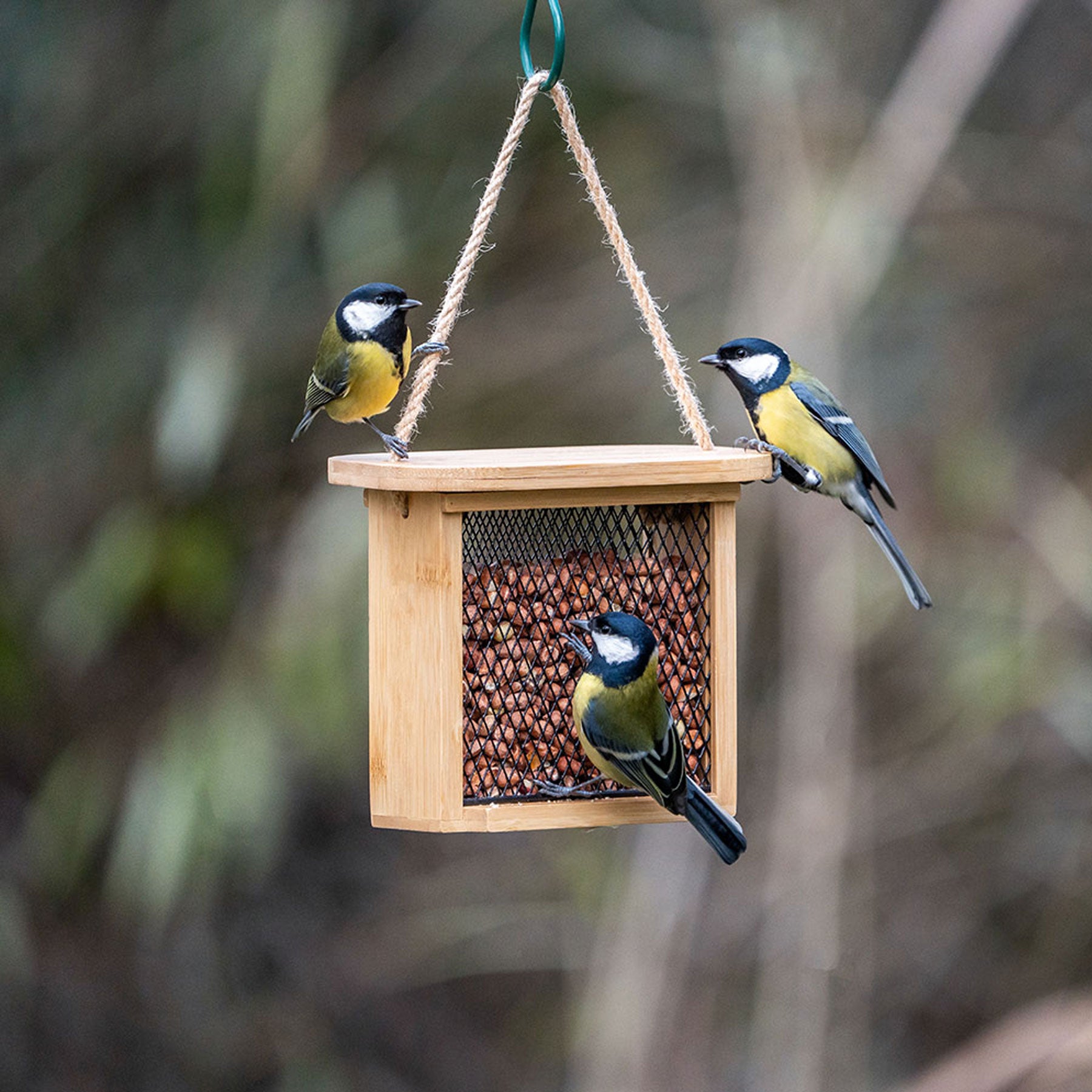 Nagano peanut & suet feeder