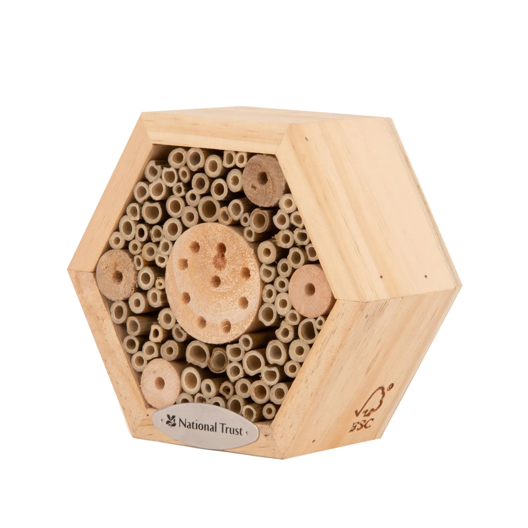 National Trust hexagon insect house