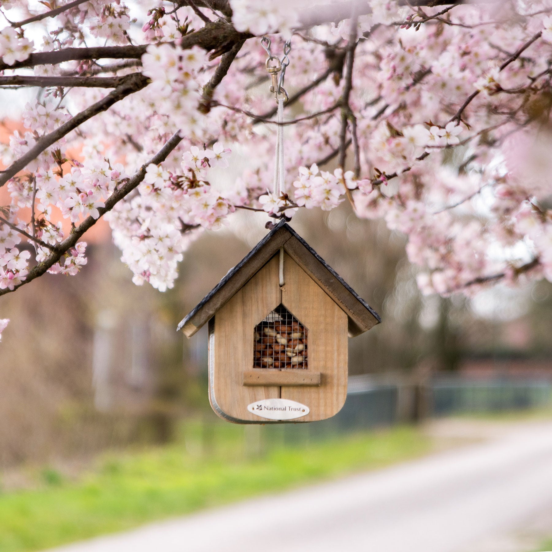 National Trust jupiter peanut feeder