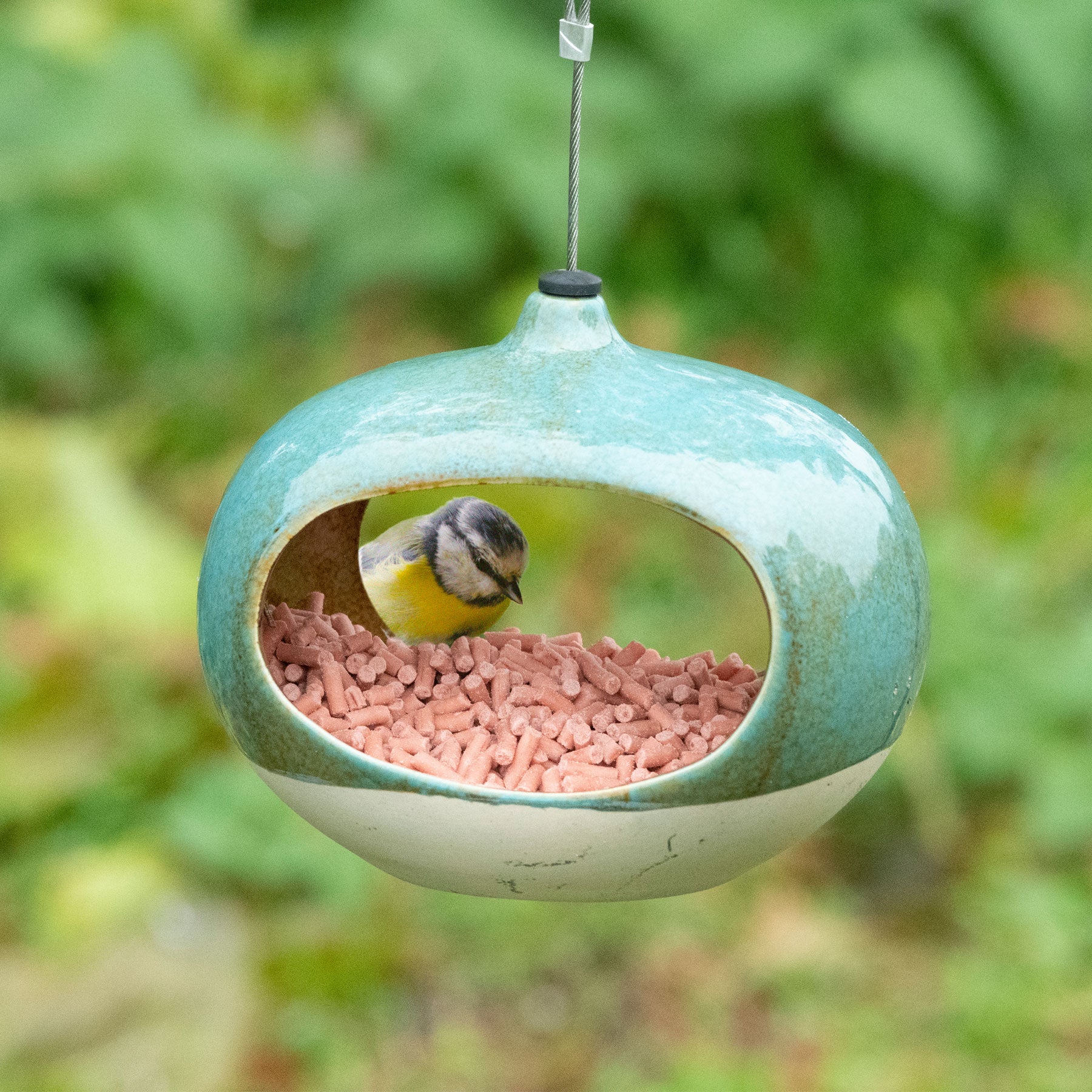 National Trust vierno diner bird feeder