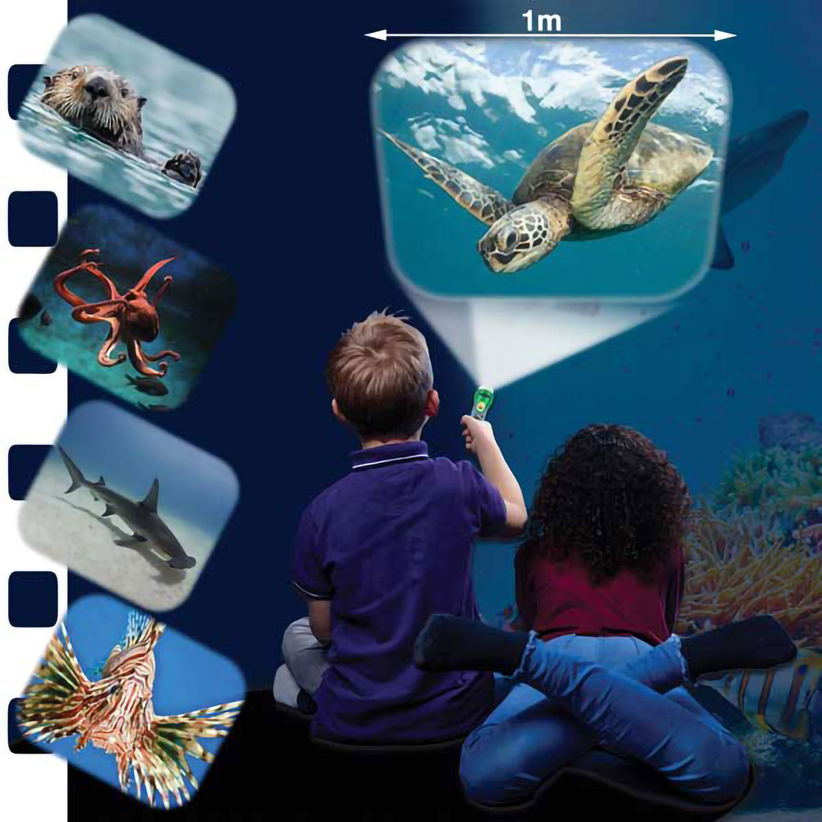 Natural History Museum sea creatures torch and projector
