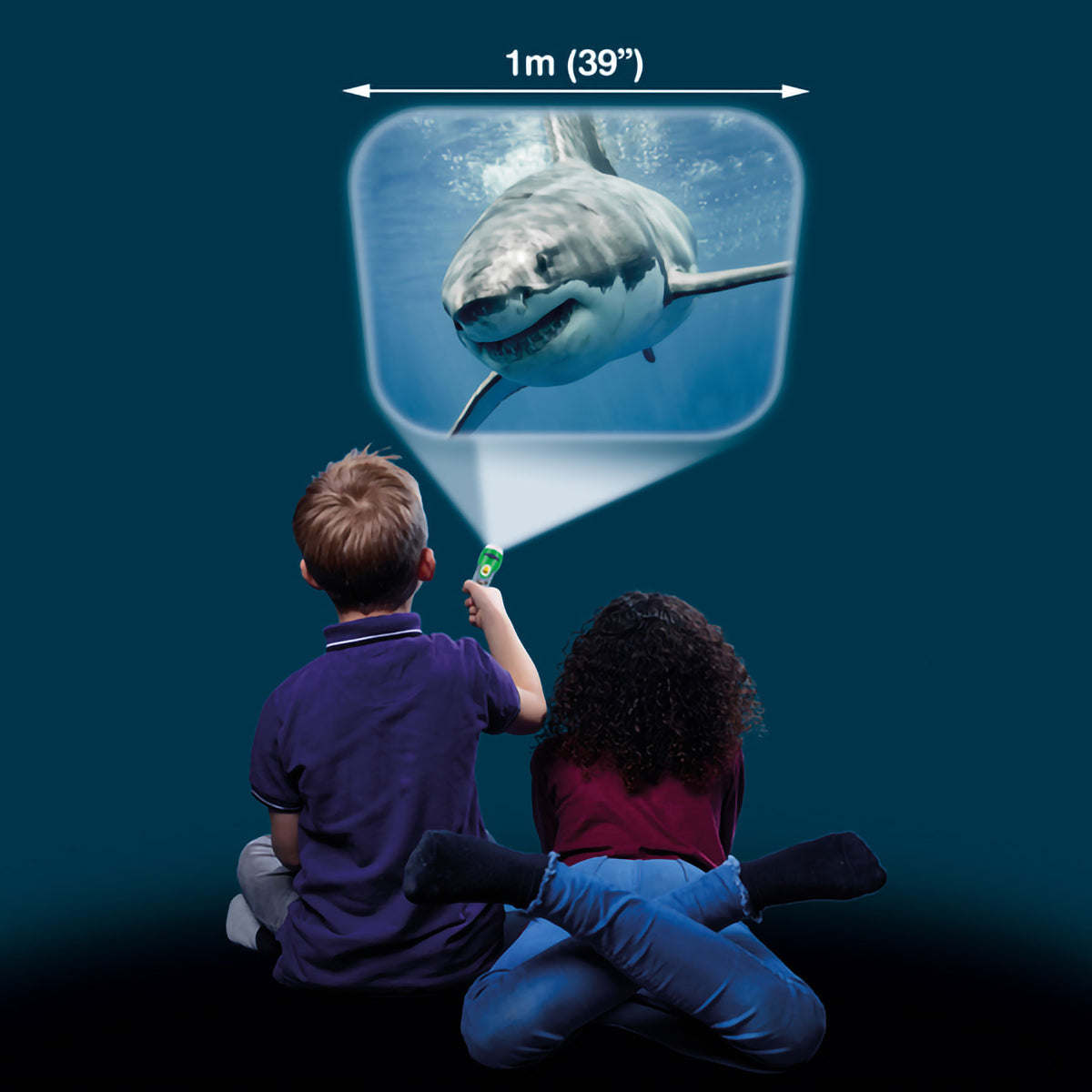 Natural History Museum sea creatures torch and projector