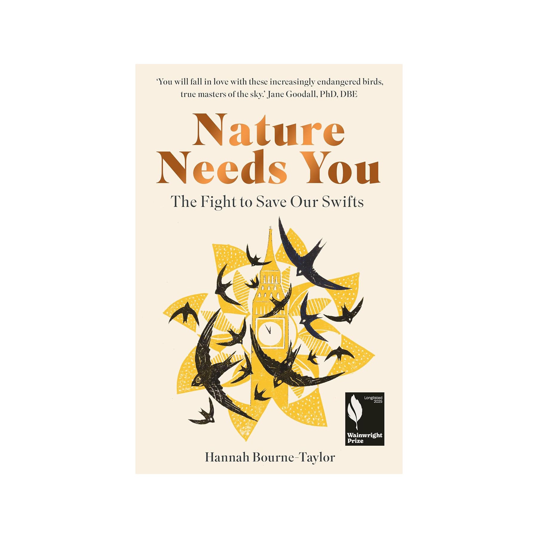 Nature needs you: the fight to save our swifts