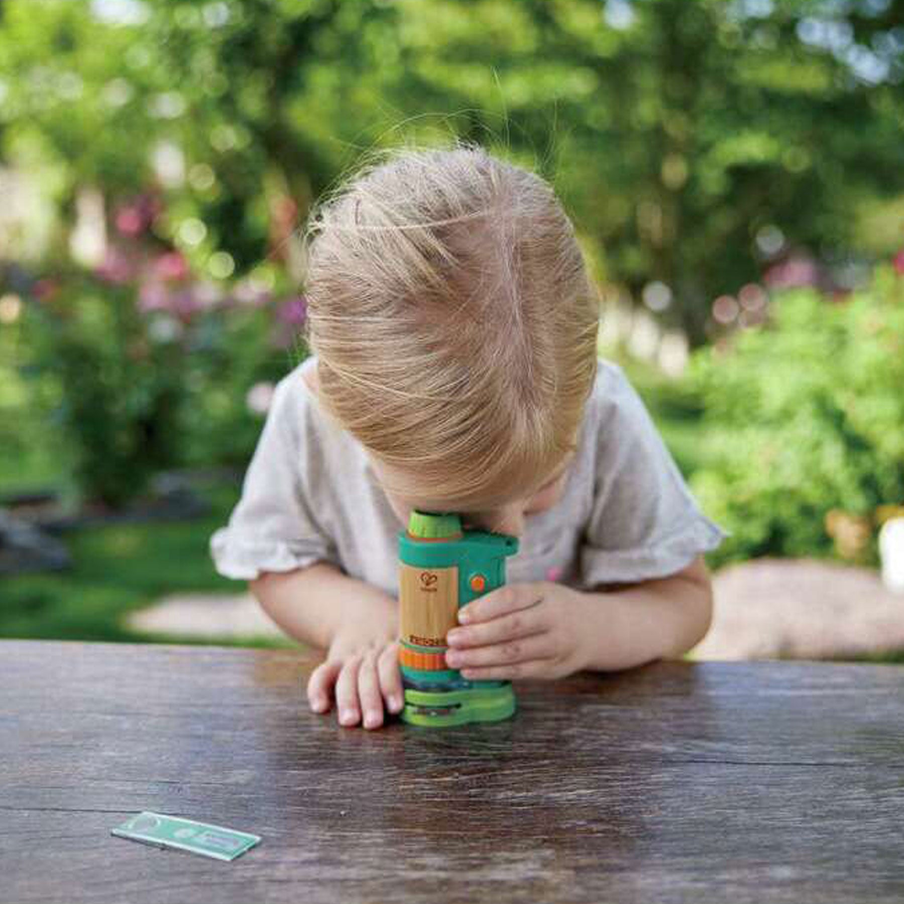 Nature fun field microscope