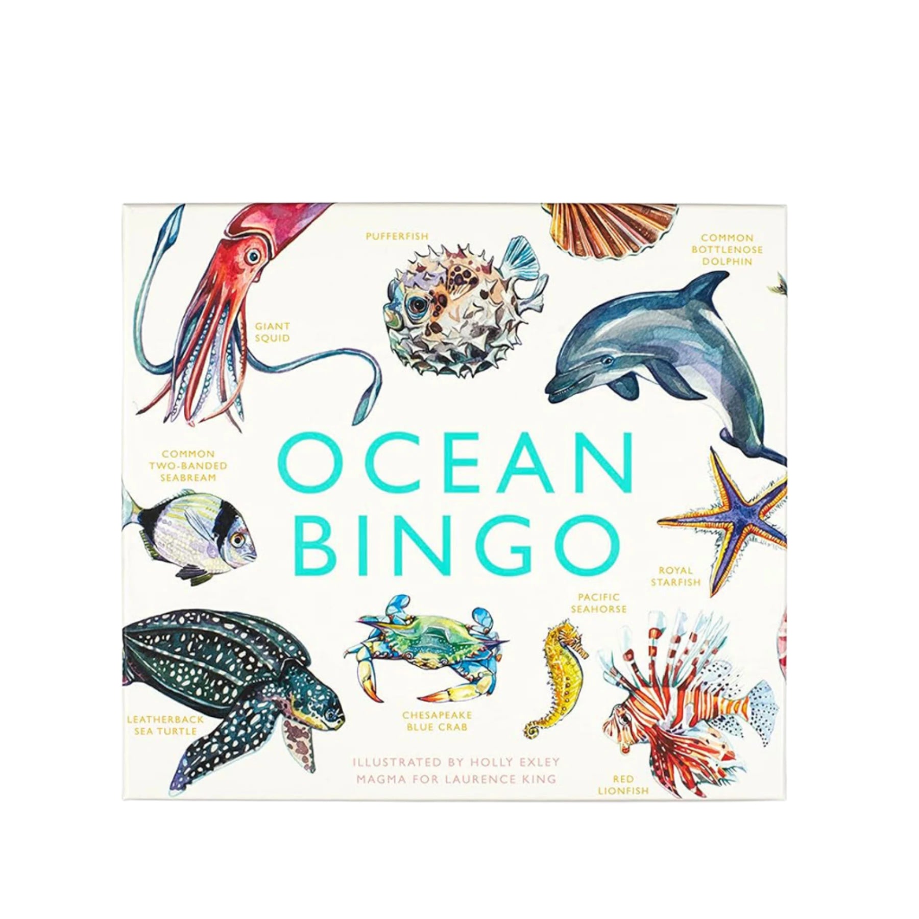 Ocean bingo
