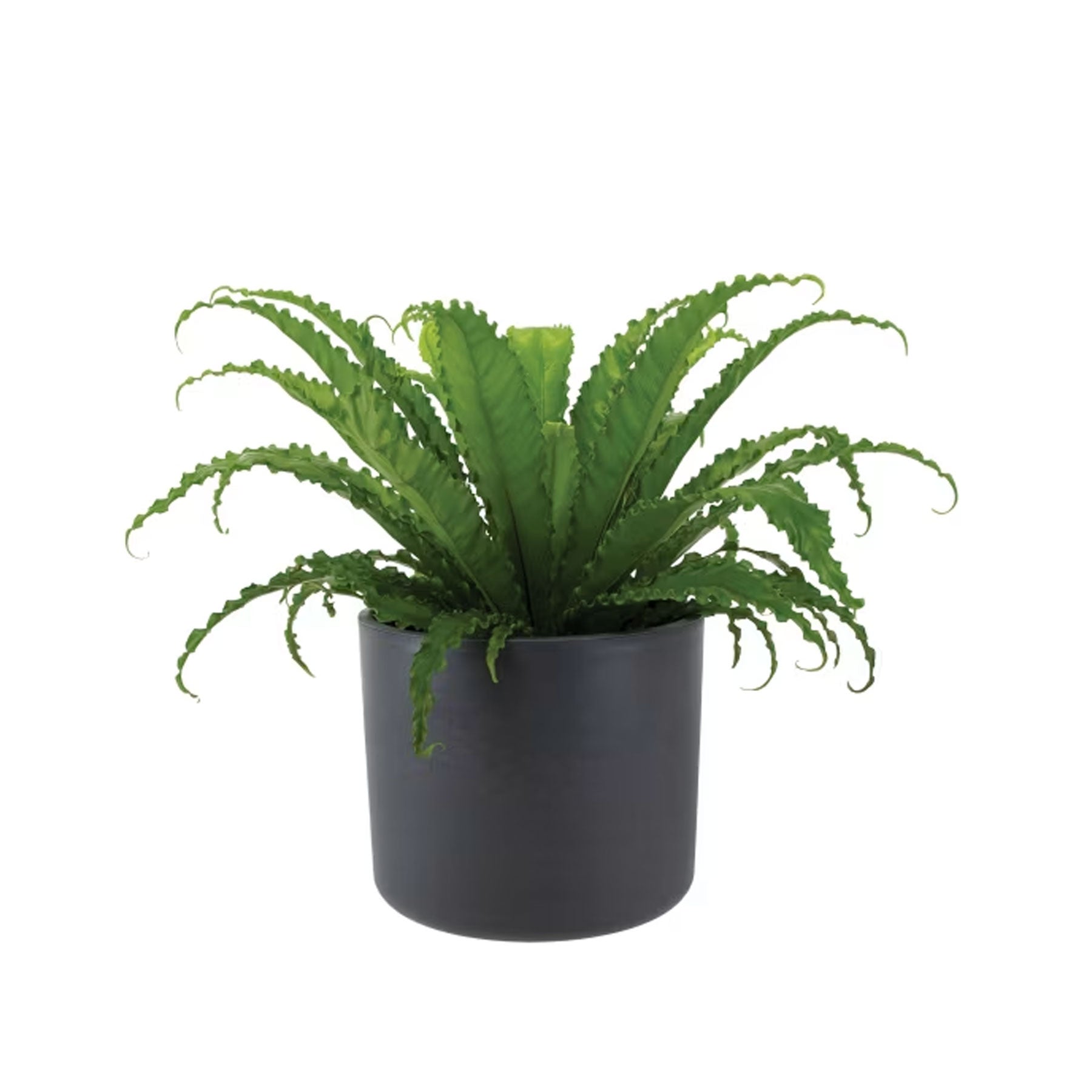 Ocean round planter charcoal 35cm
