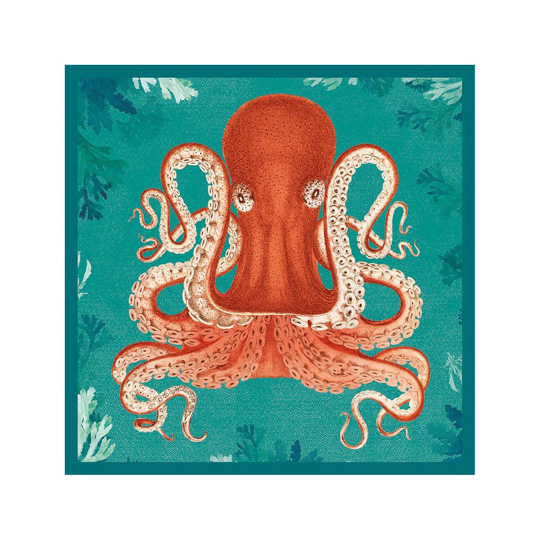 Octopus greetings card
